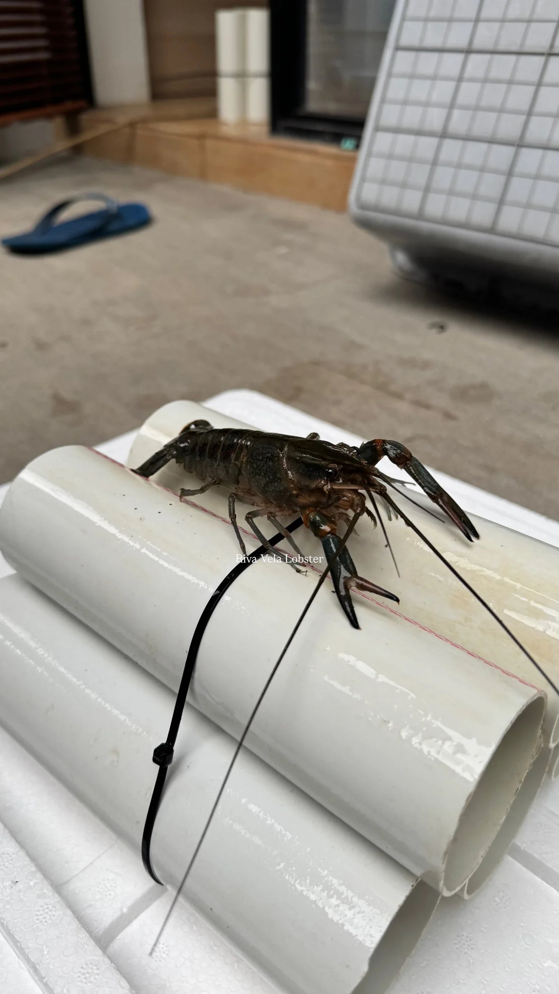 woman wearing yellow long-sleeved dress under white clouds and blue sky during daytime