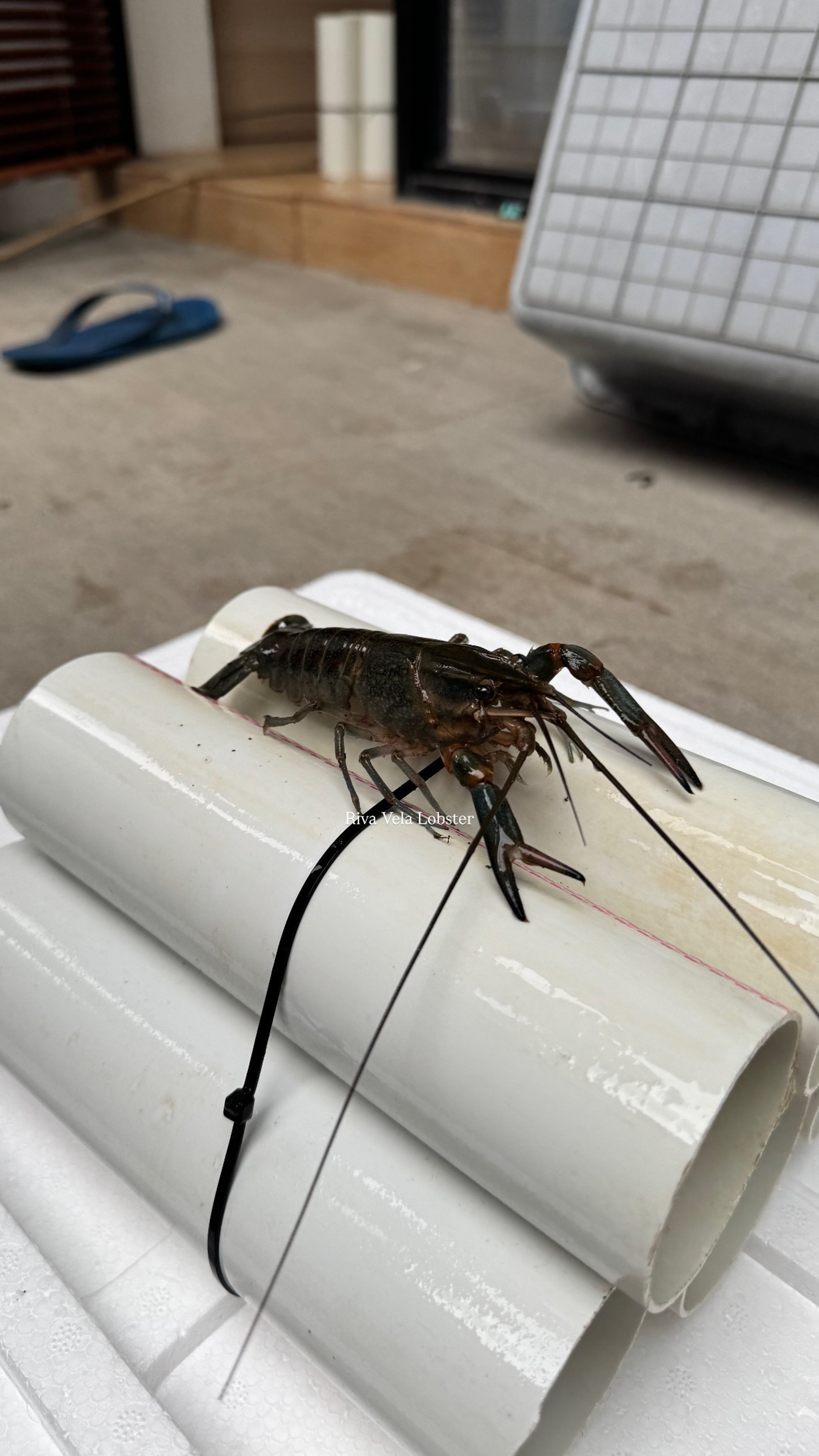 woman wearing yellow long-sleeved dress under white clouds and blue sky during daytime