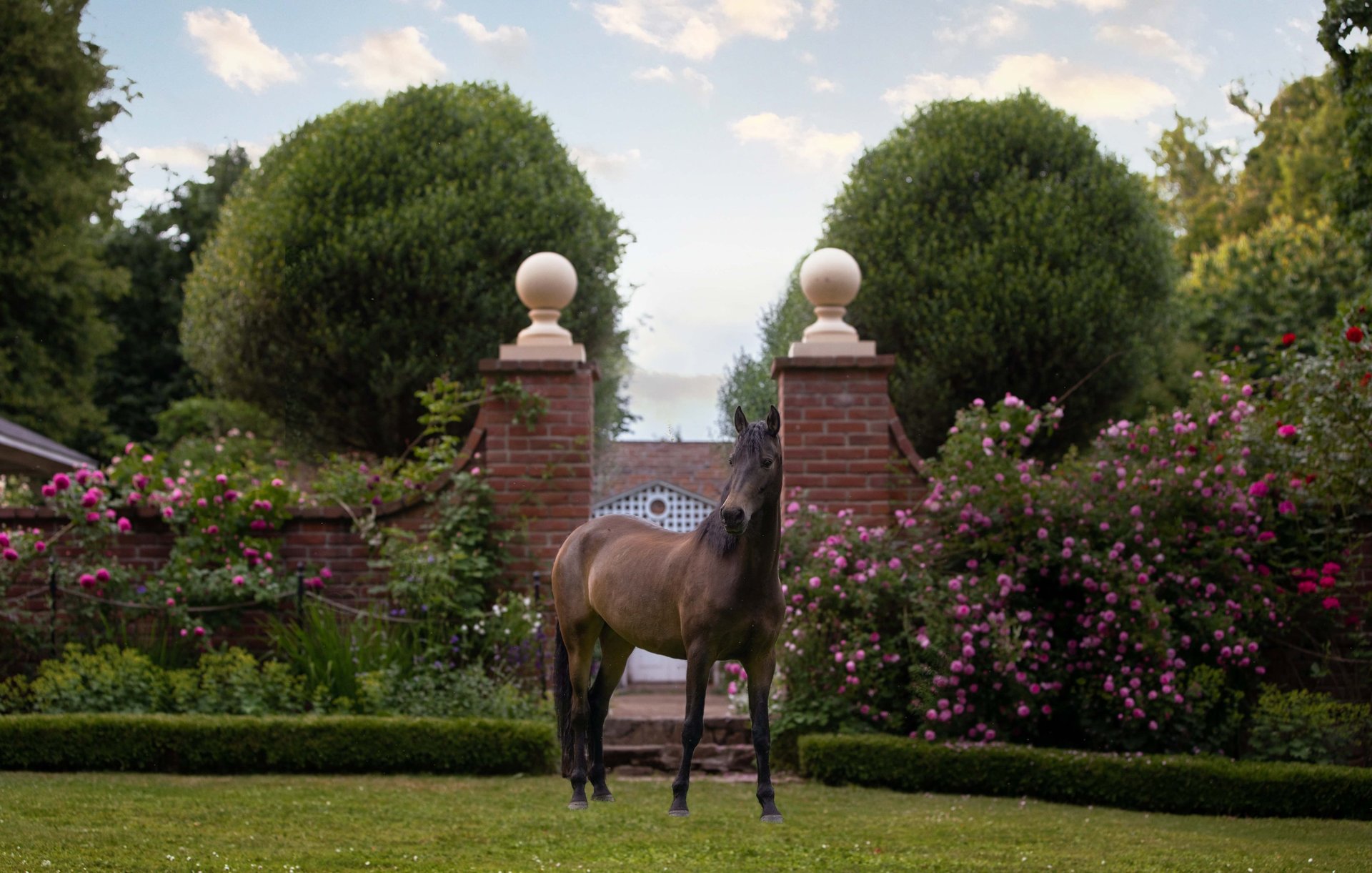 black and white bed linen