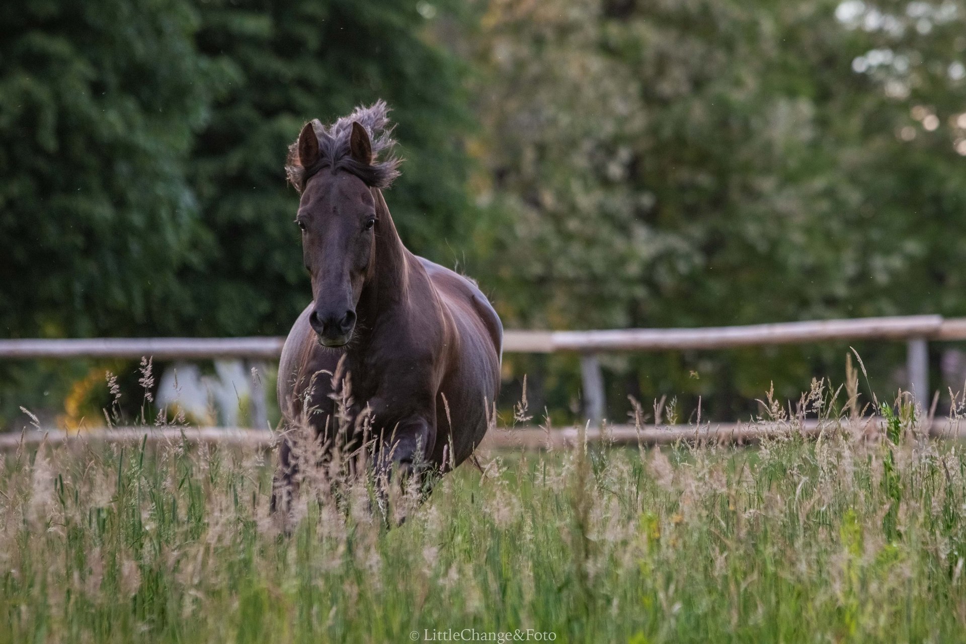 black and white bed linen
