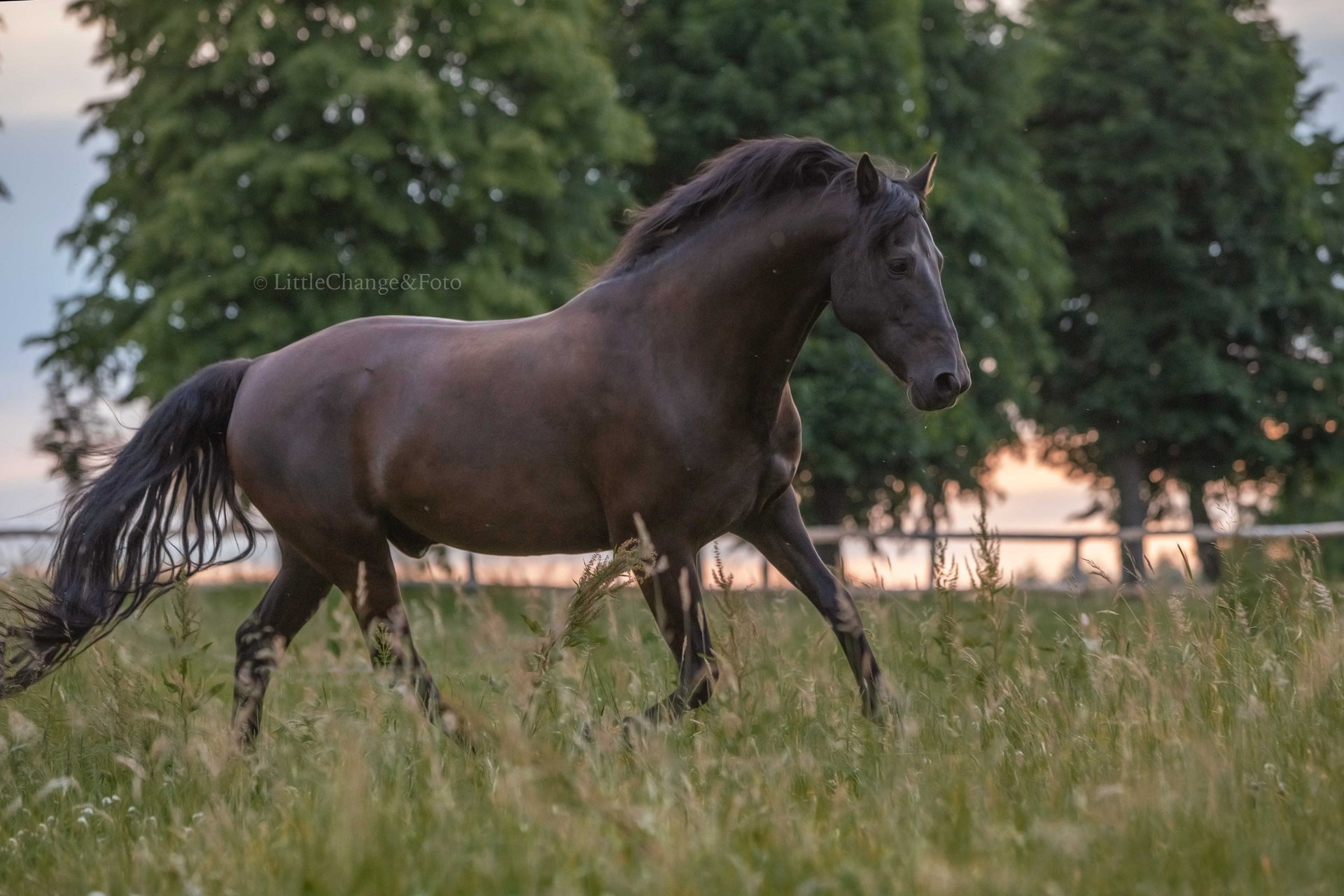 black and white bed linen