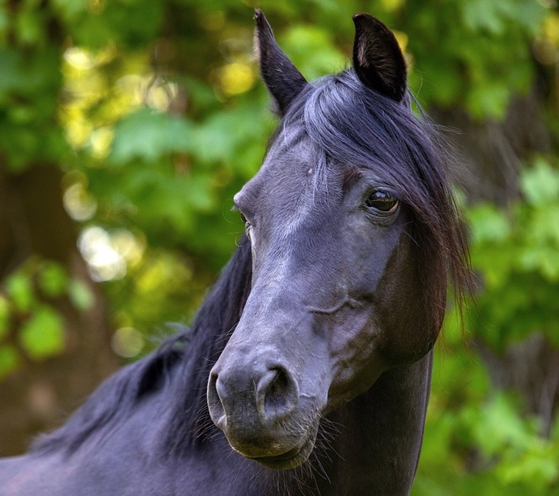 black and white bed linen