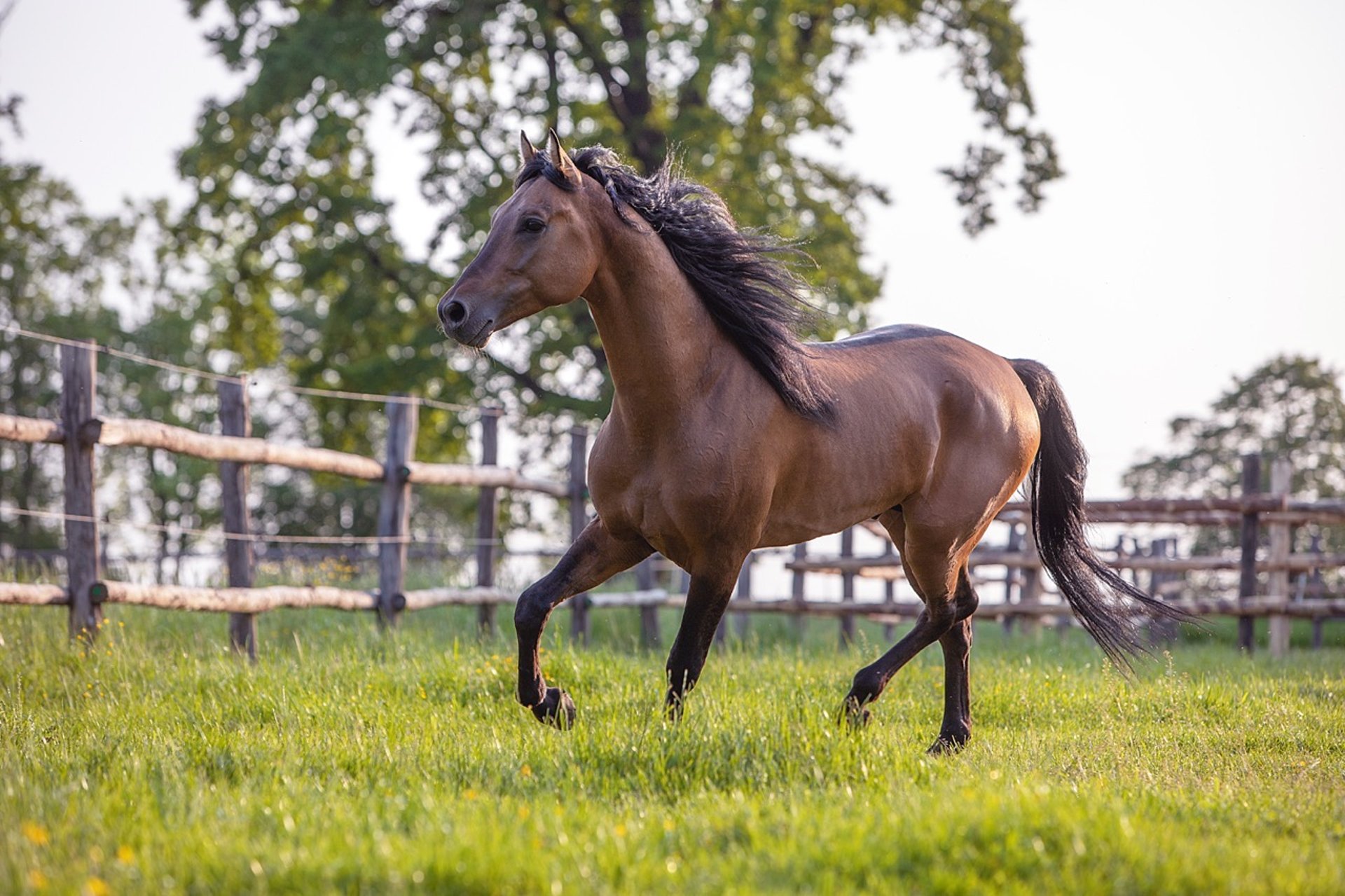 black and white bed linen