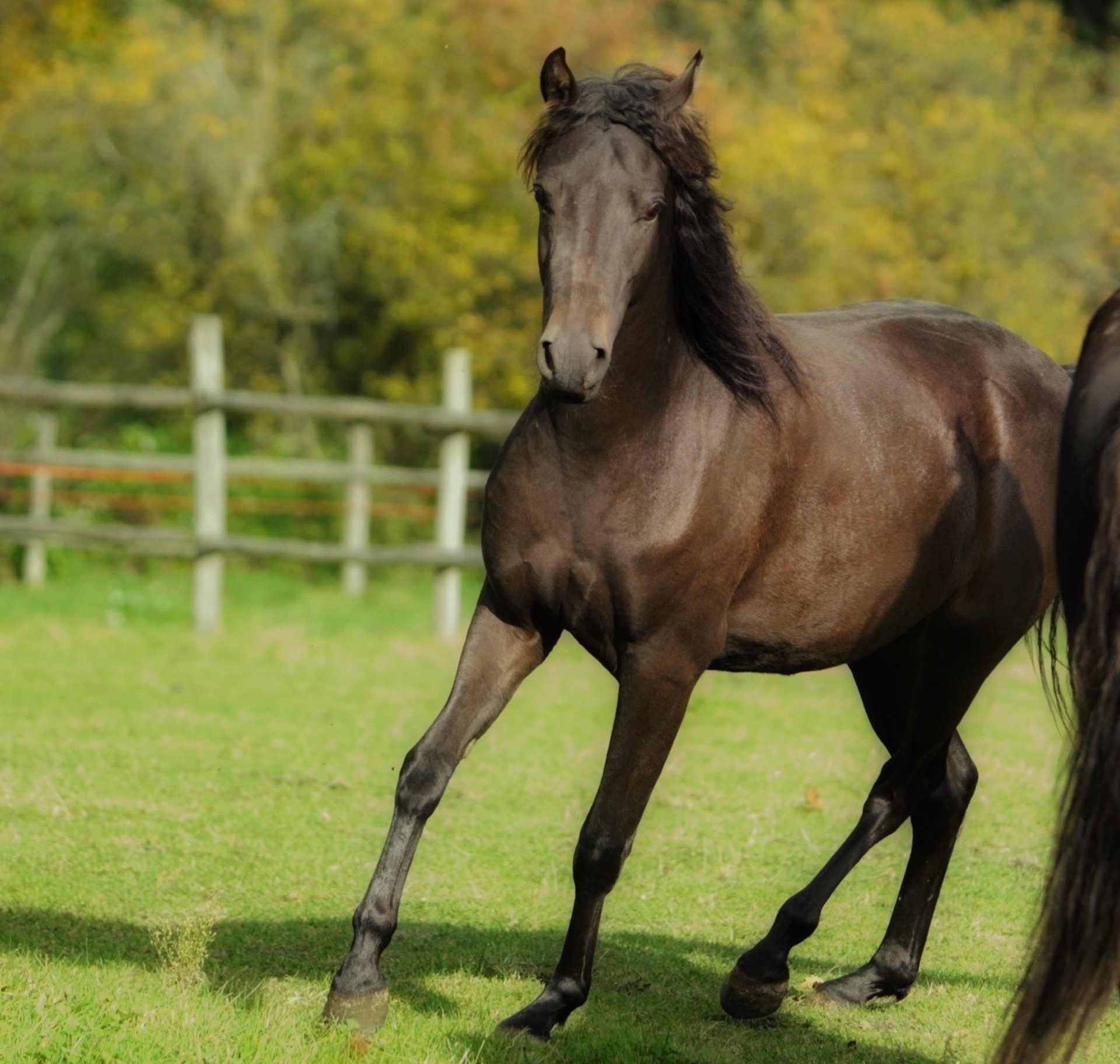 black and white bed linen