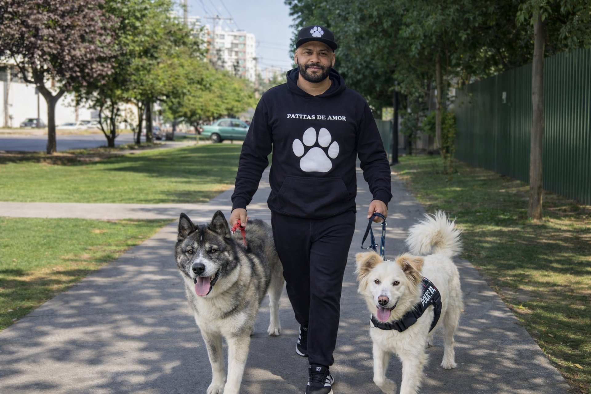 an abstract photo of a curved building with a blue sky in the background