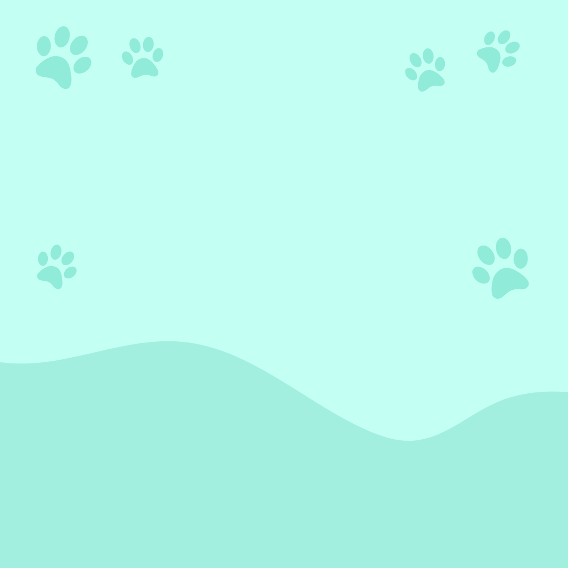 a brown and white dog standing on top of a grass covered field