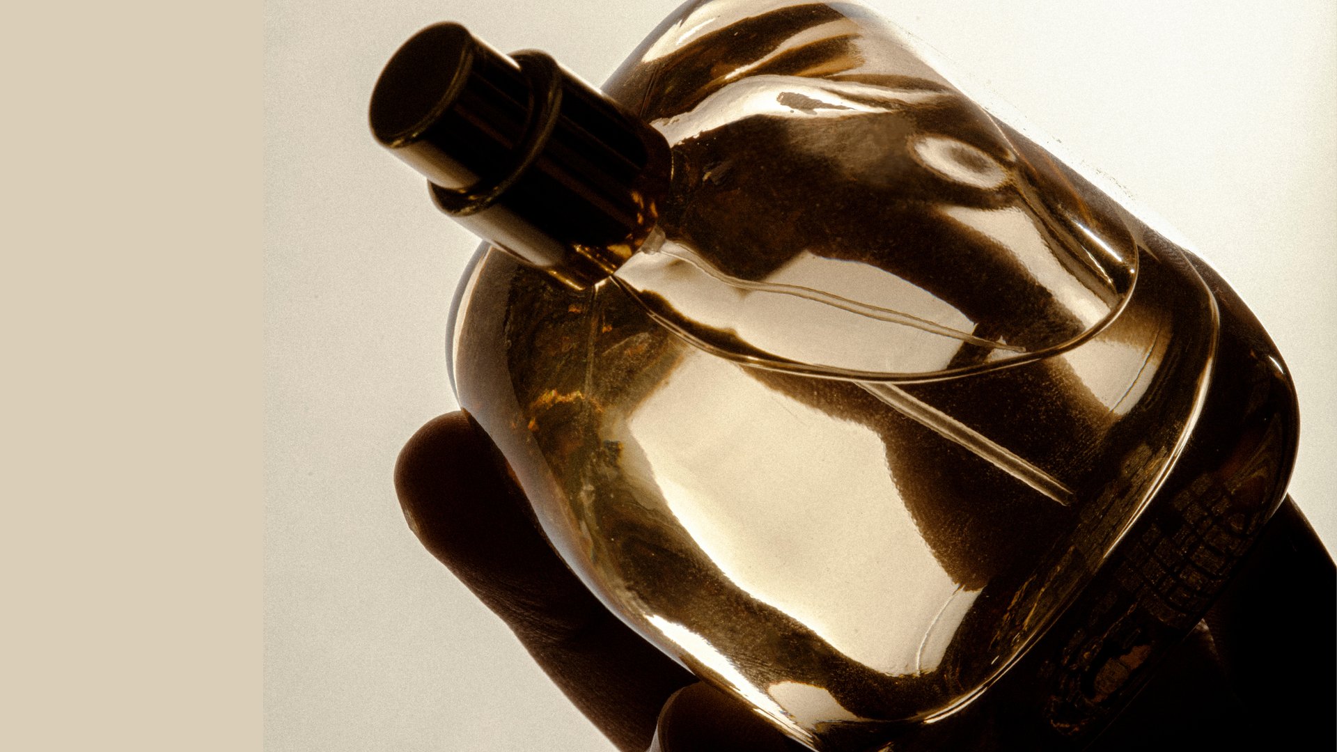 green plant near white window curtain