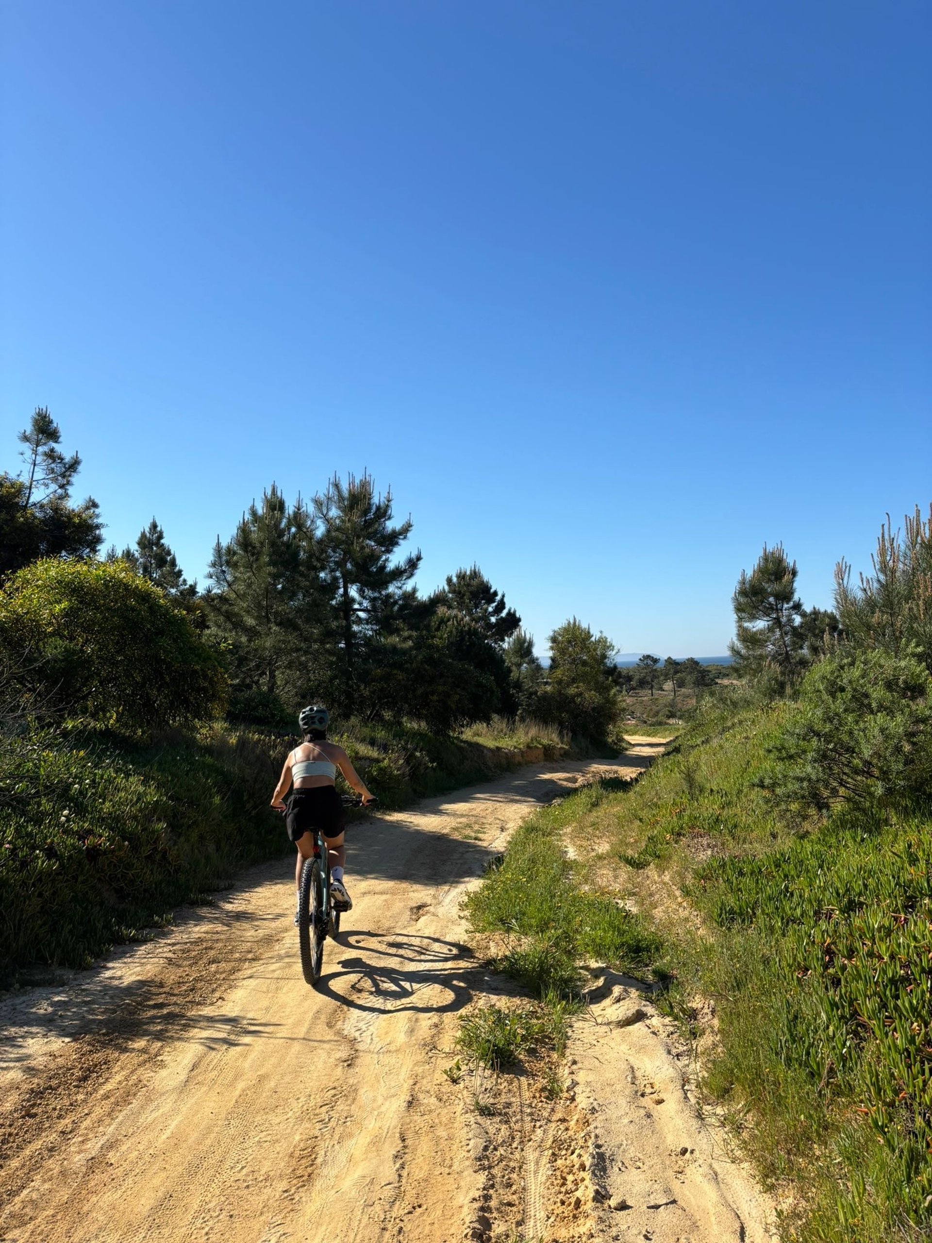 brown leather handbag on black bicycle