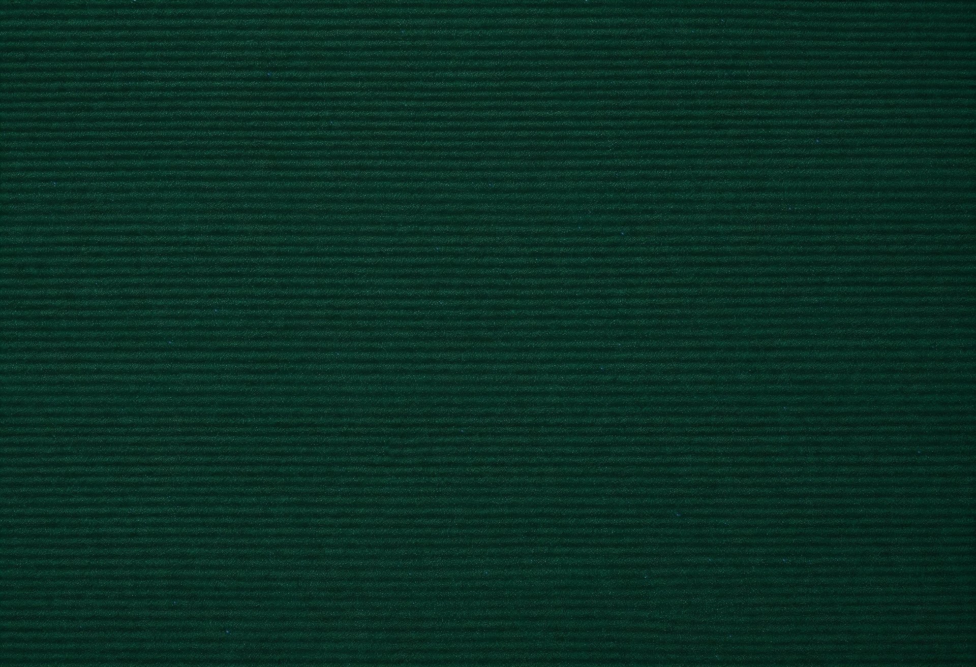 velours côtelé vert fond