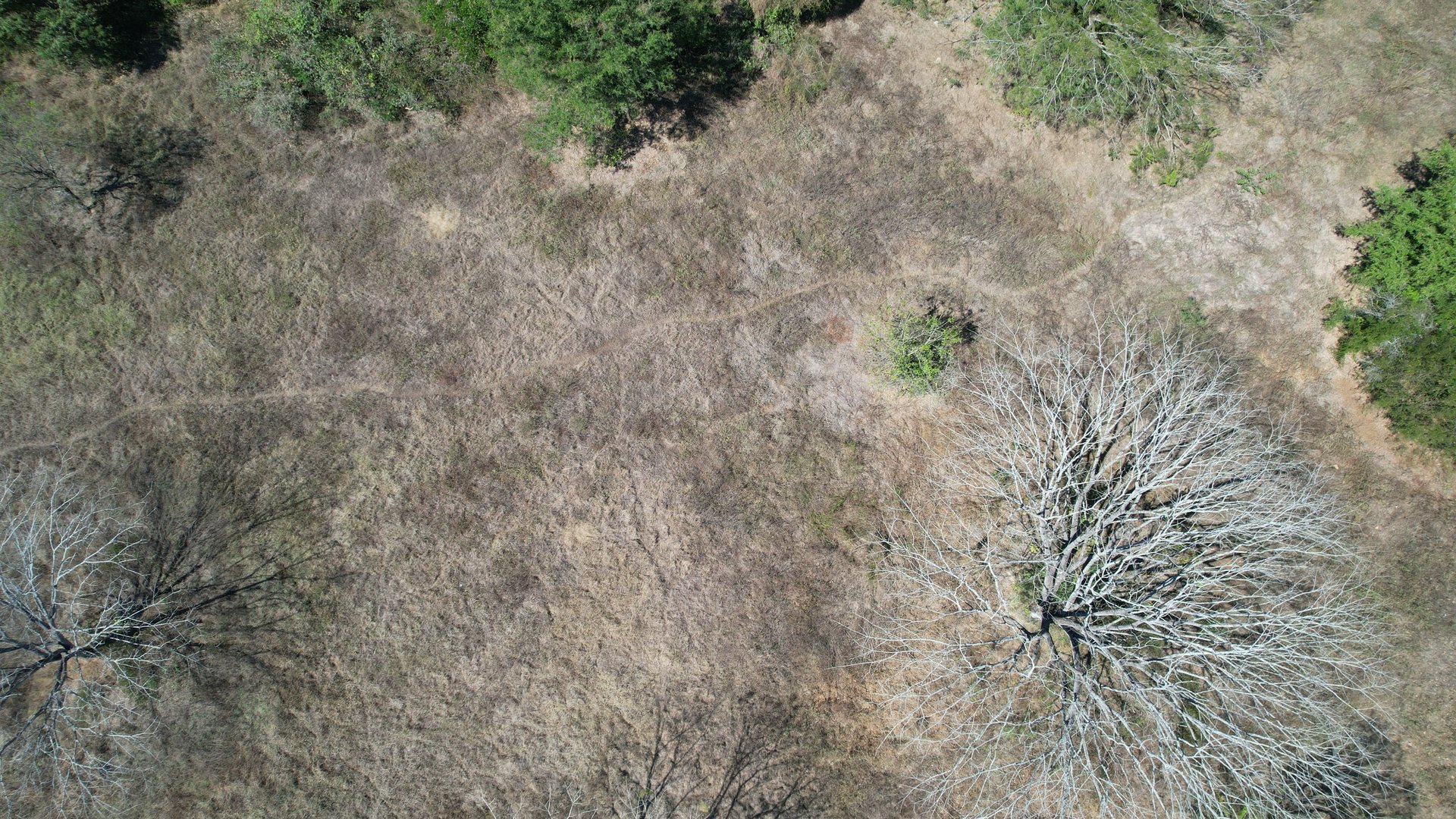 gray computer monitor