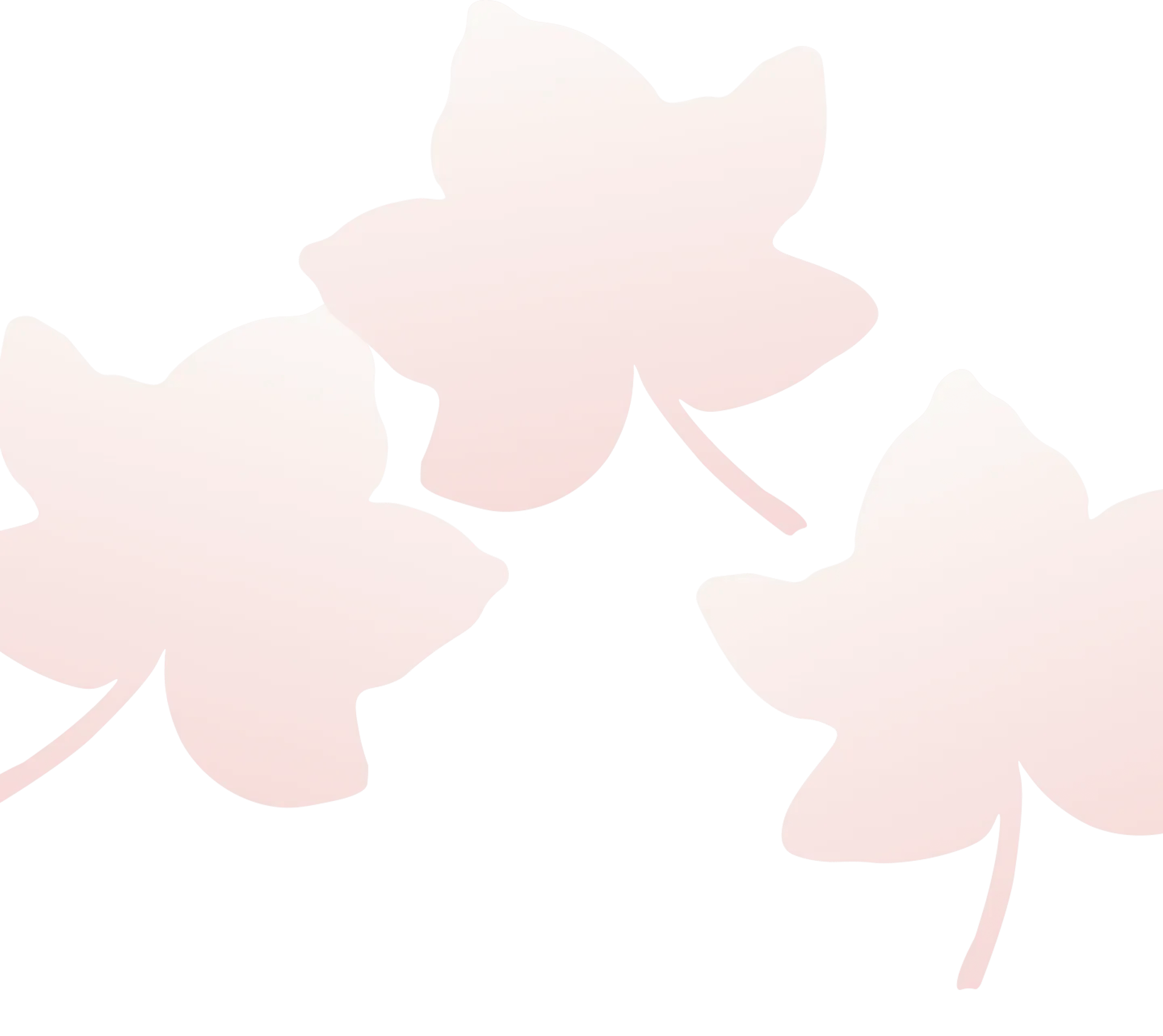 woman holding dried flower