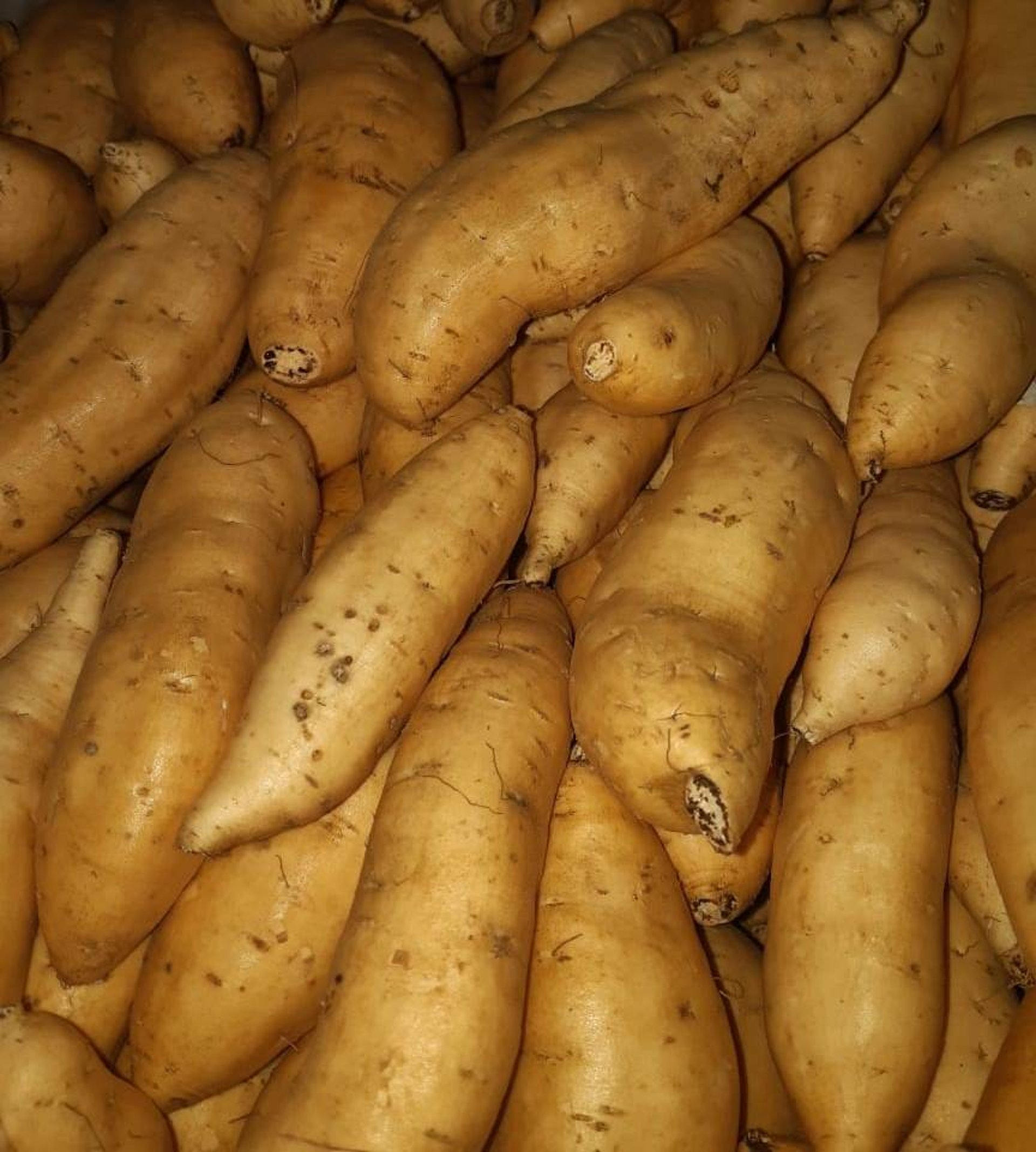 person wearing grey knit sweater