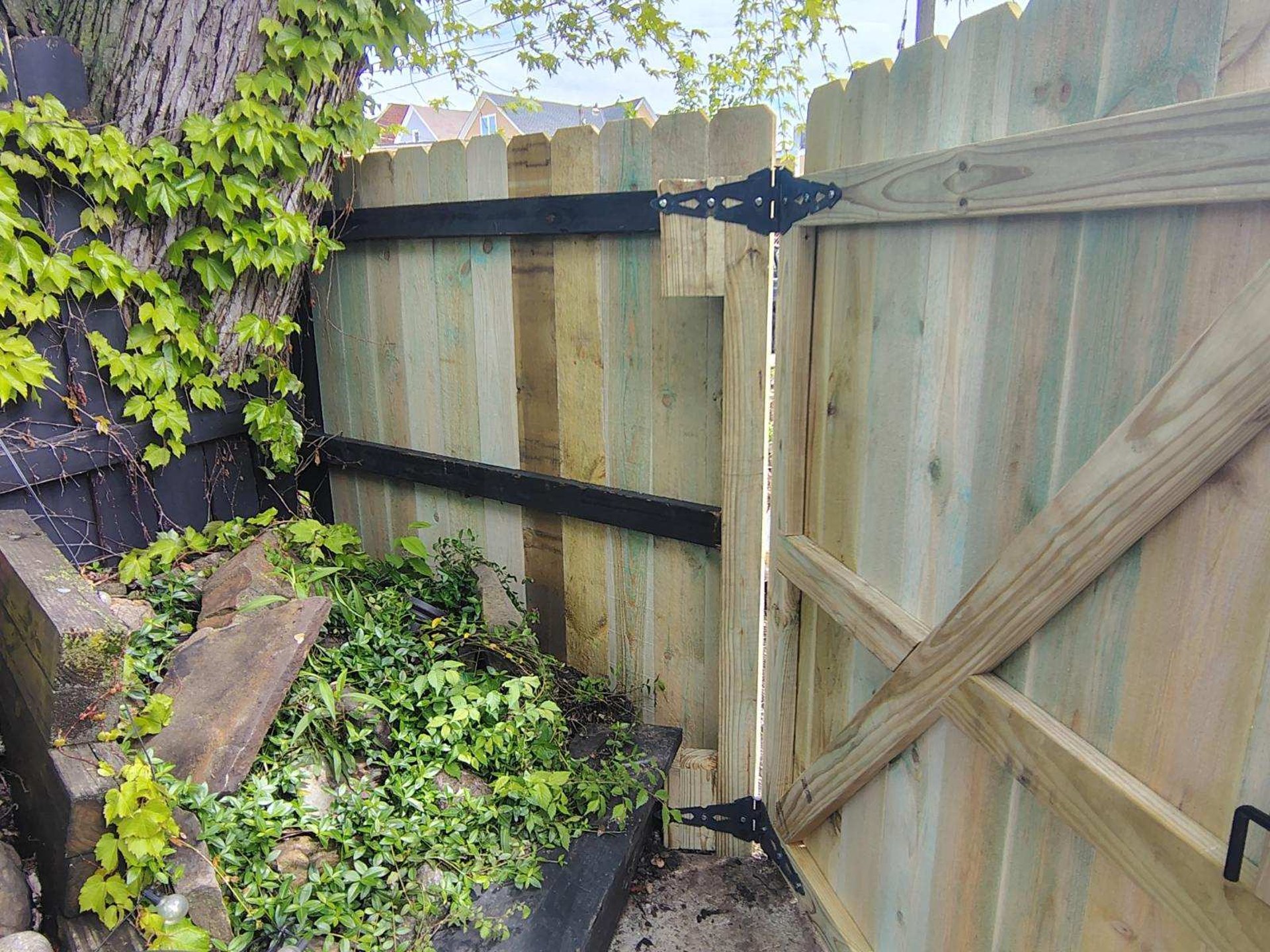 potted plants beside brown wooden fence
