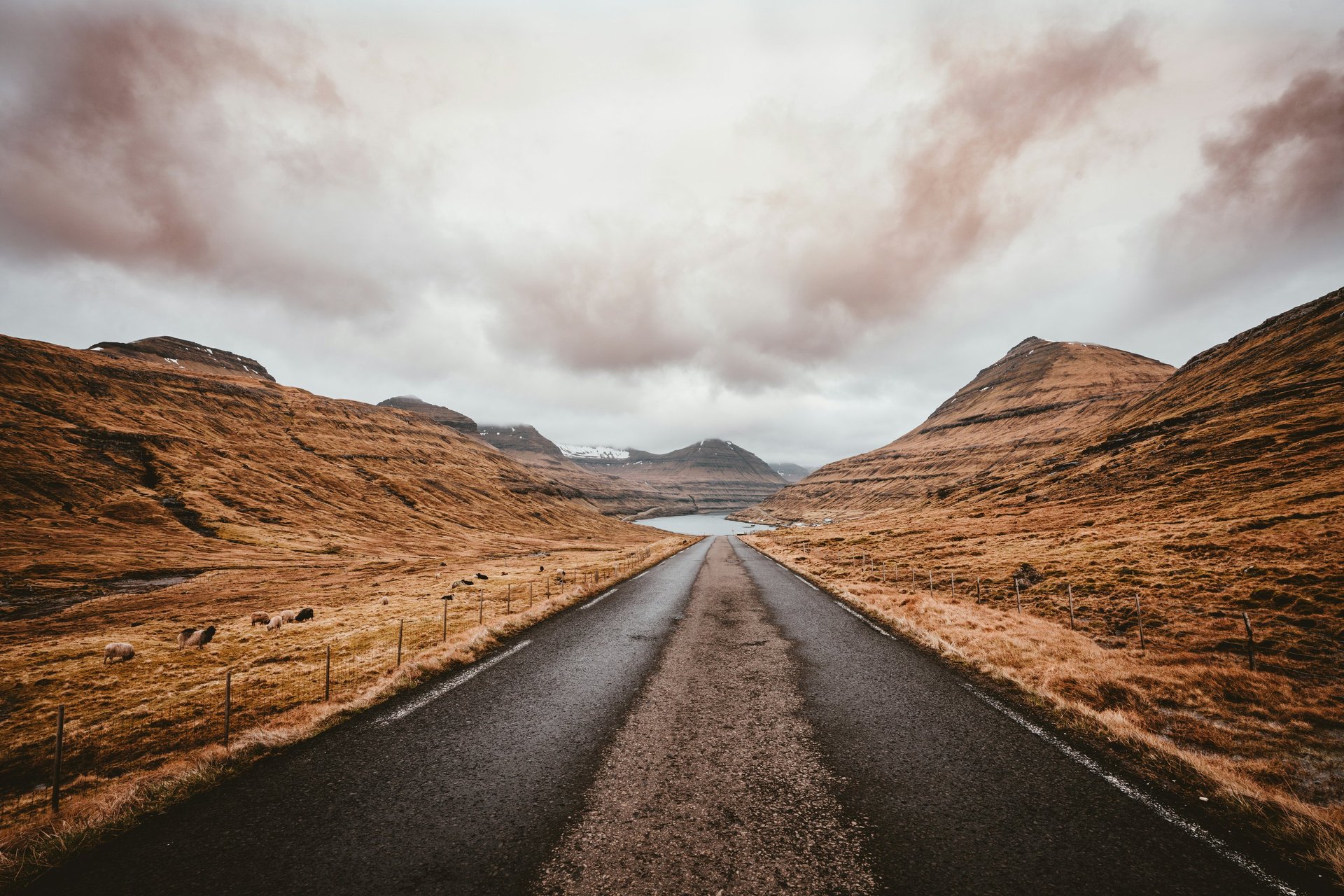 black and brown leather padded tub sofa