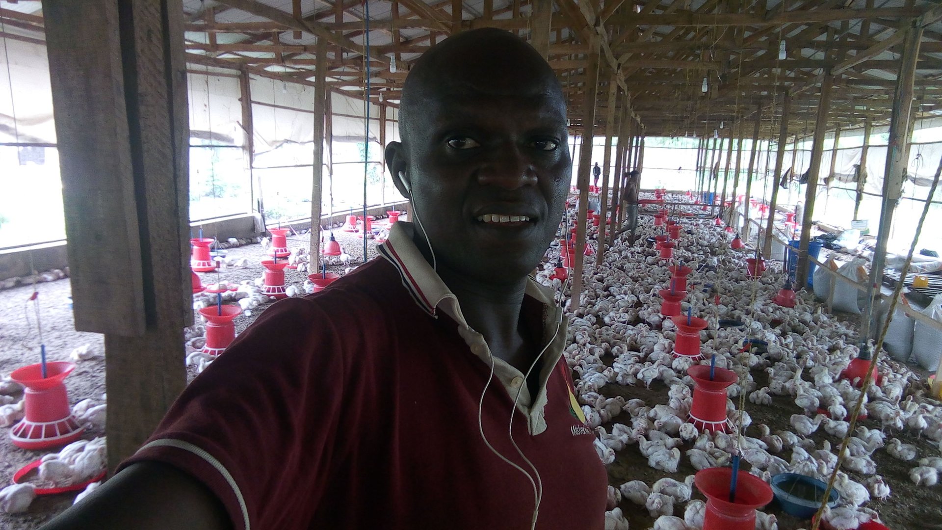 black and brown leather padded tub sofa