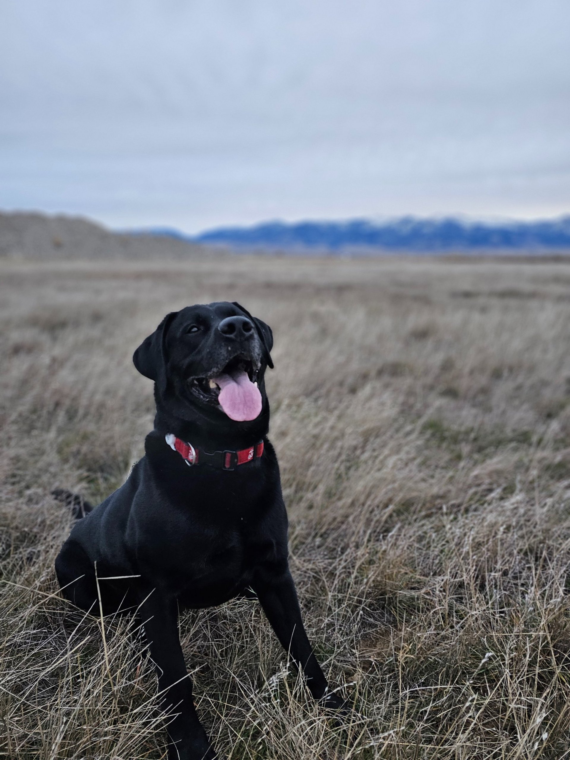 woman wearing yellow long-sleeved dress under white clouds and blue sky during daytime