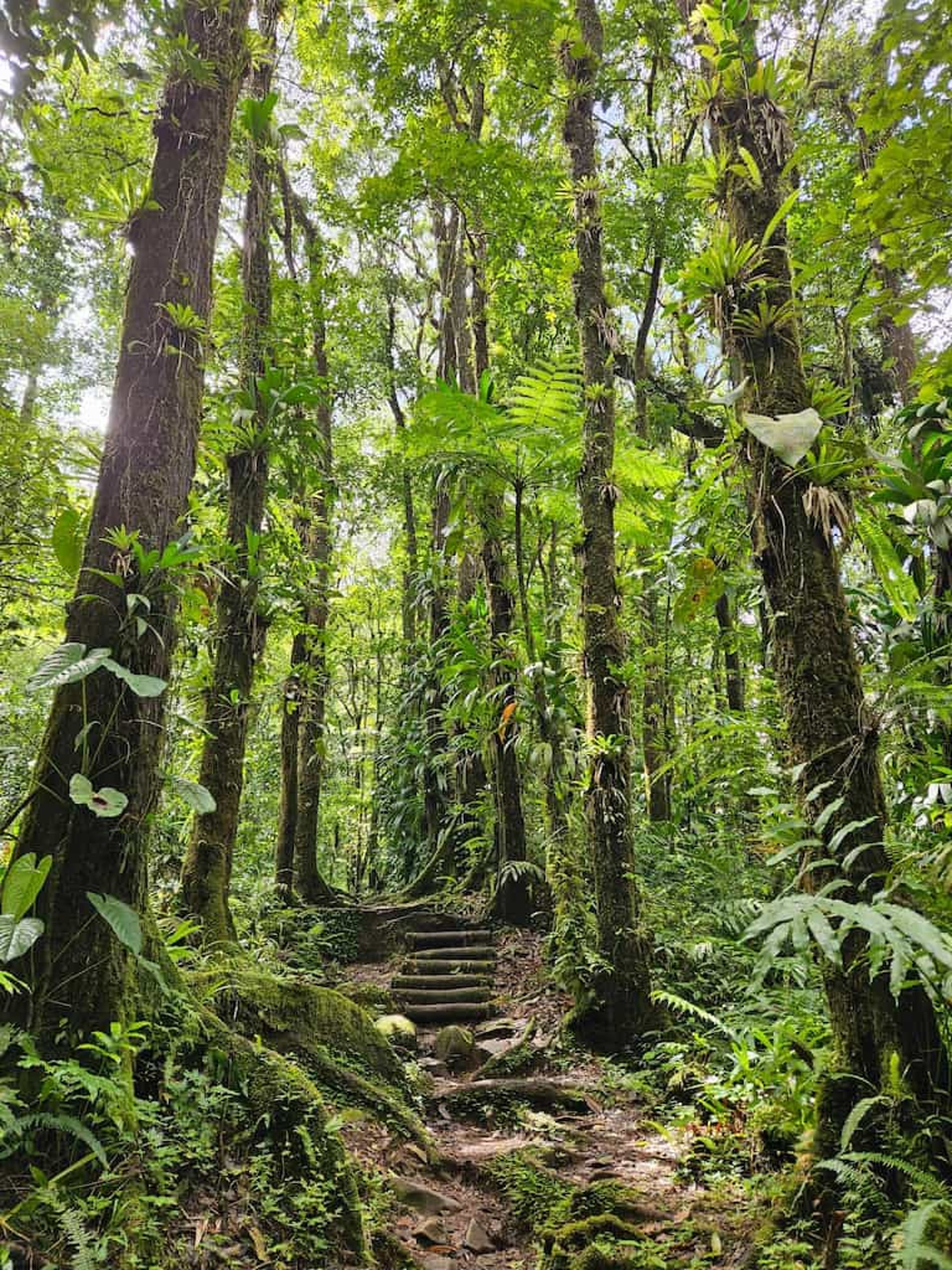 gray computer monitor