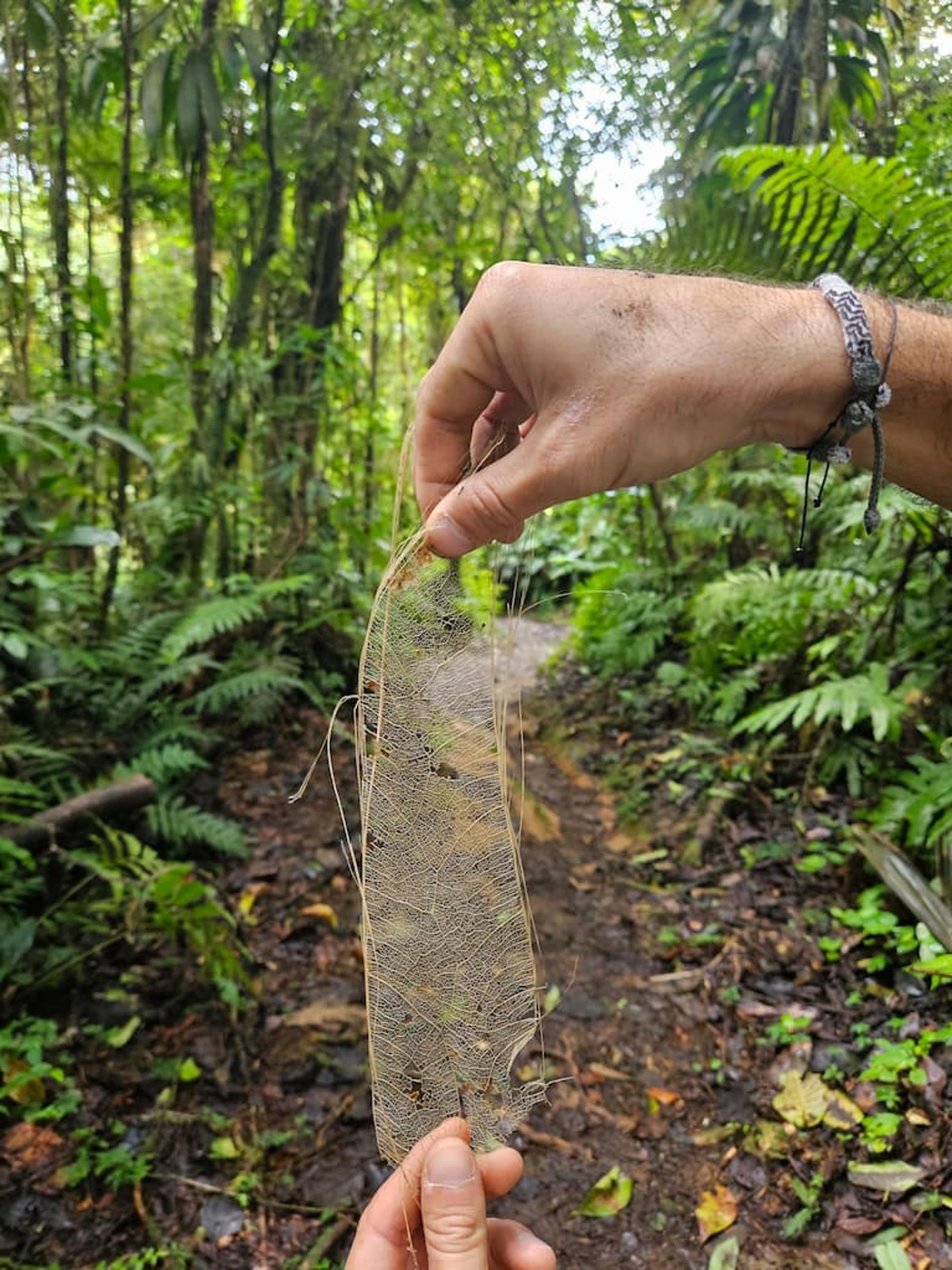 an abstract photo of a curved building with a blue sky in the background