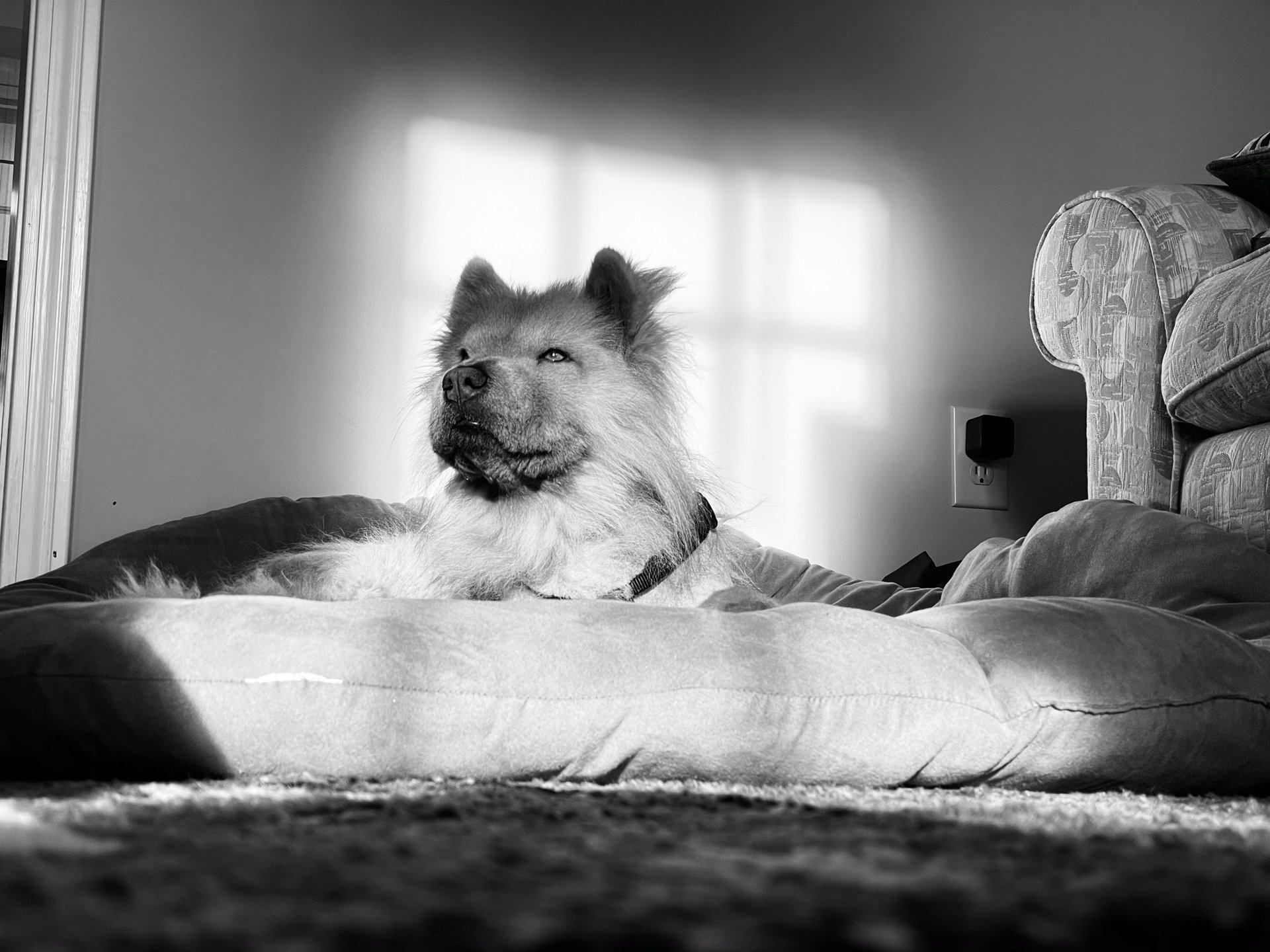 black and white bed linen