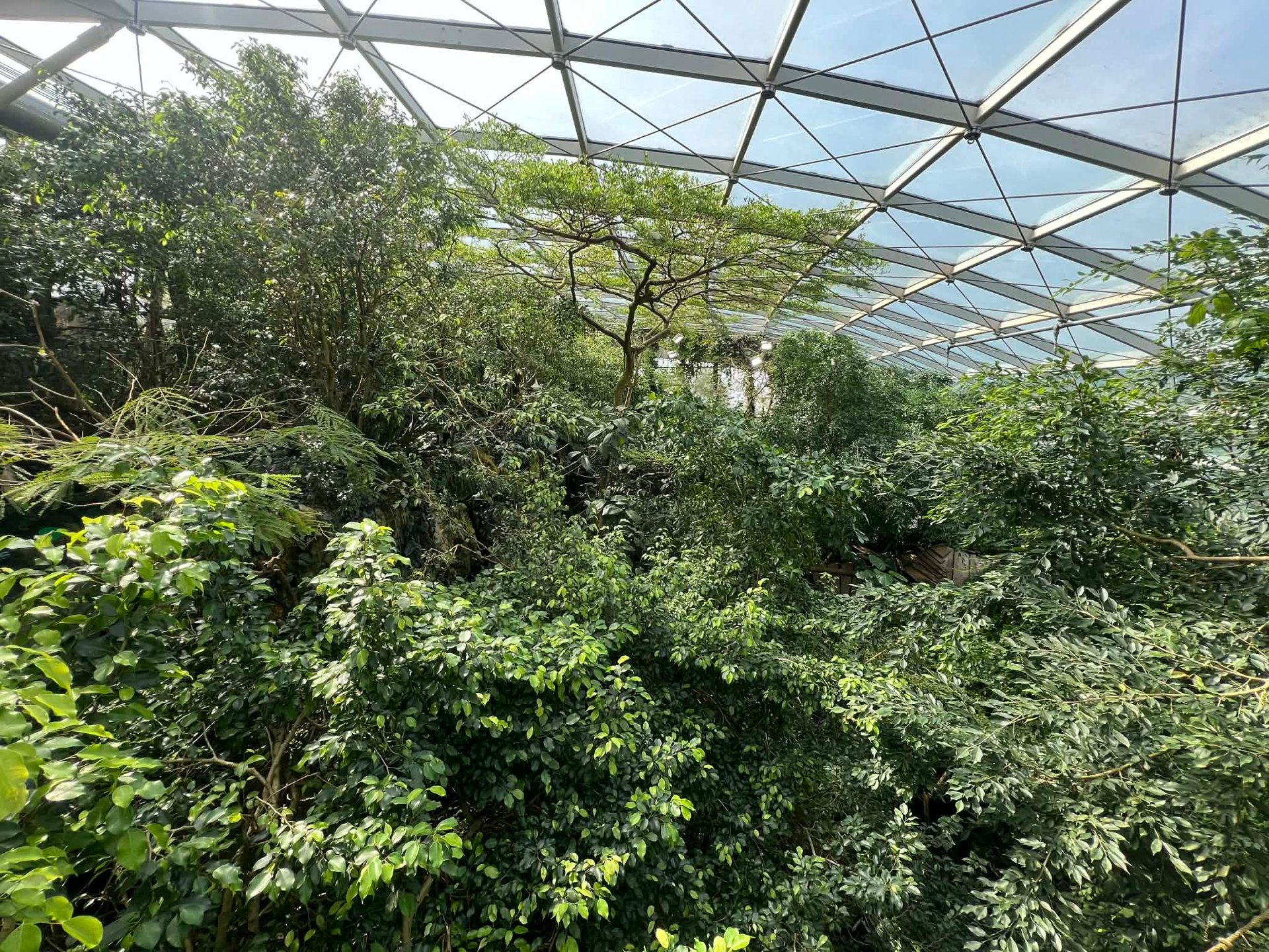 an abstract photo of a curved building with a blue sky in the background
