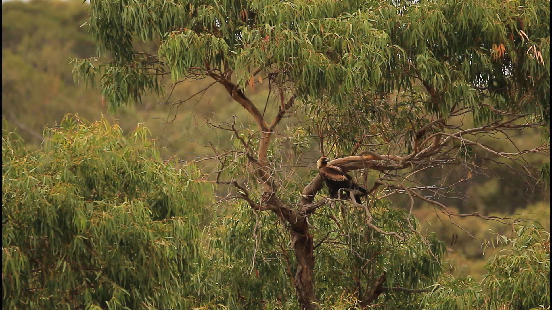 black blue and yellow textile