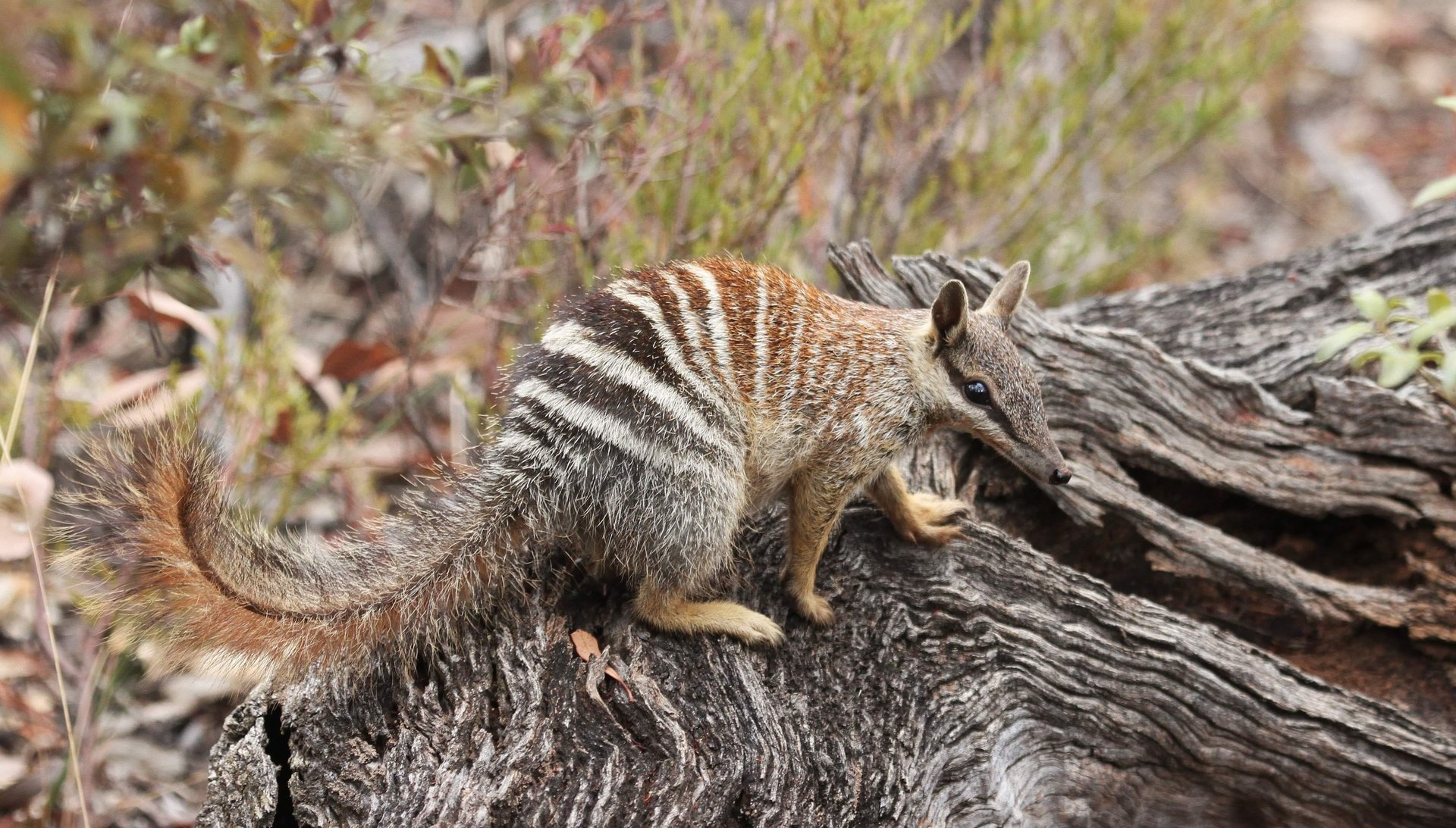 an abstract photo of a curved building with a blue sky in the background