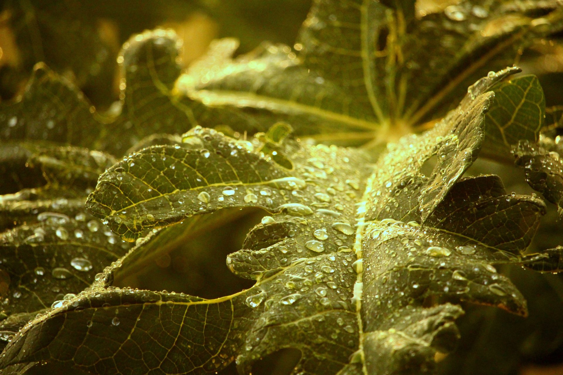 an abstract photo of a curved building with a blue sky in the background