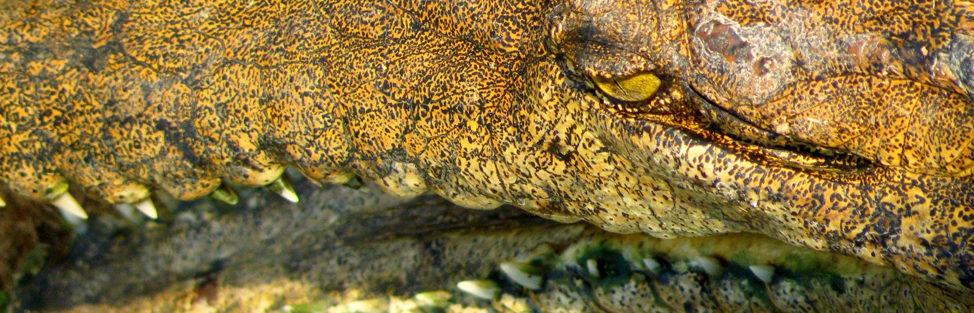 an abstract photo of a curved building with a blue sky in the background