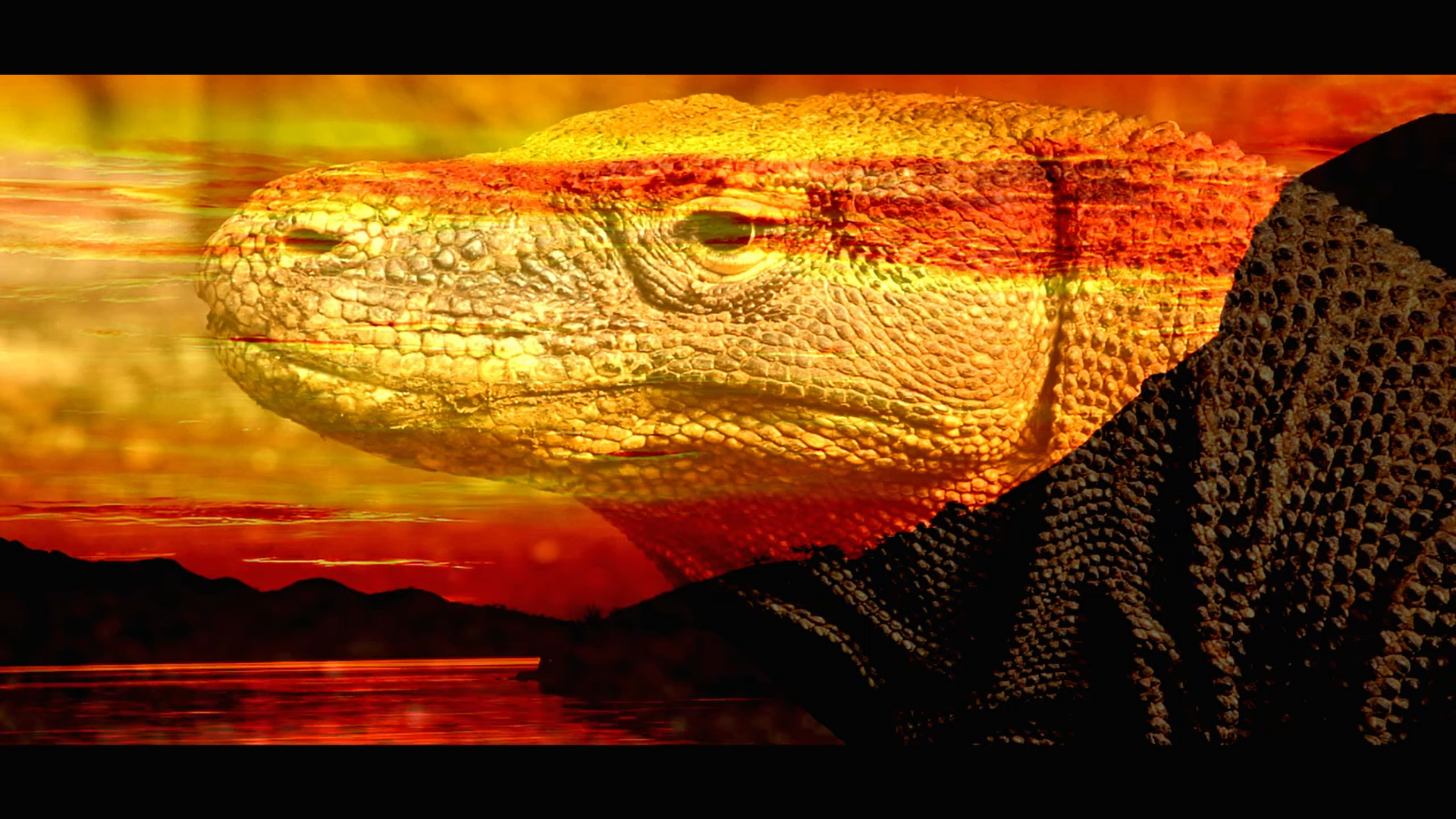 an abstract photo of a curved building with a blue sky in the background