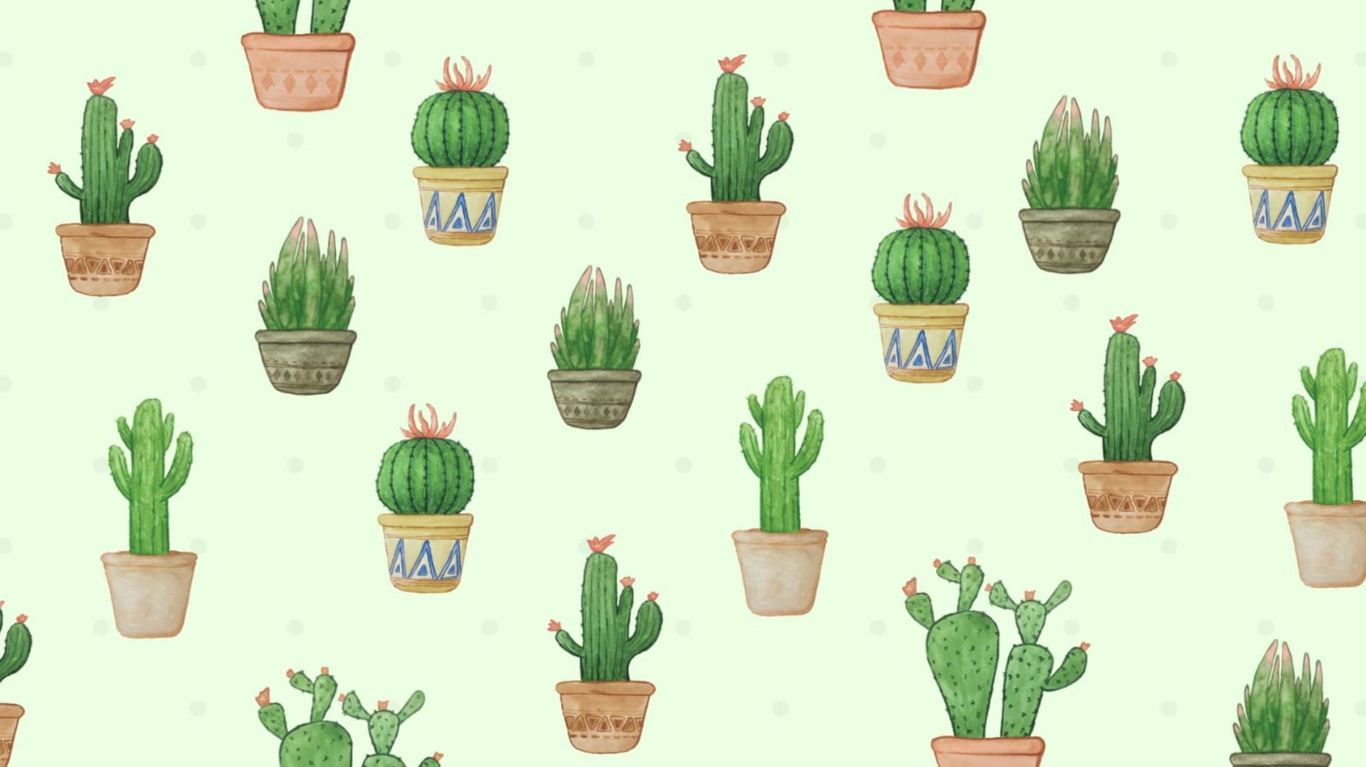 fondo de suculentas y cactus