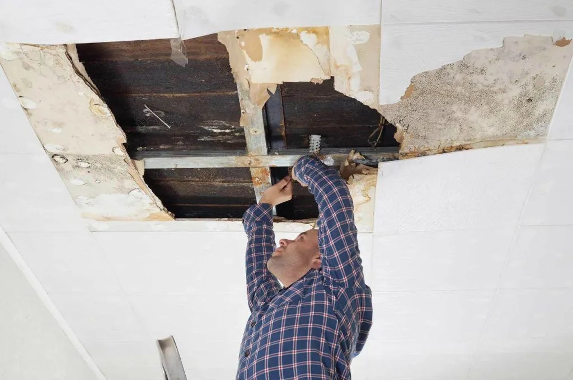 black blue and yellow textile