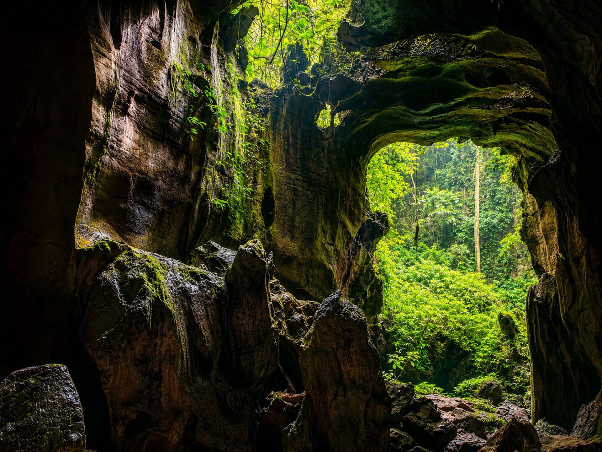BAT CAVE