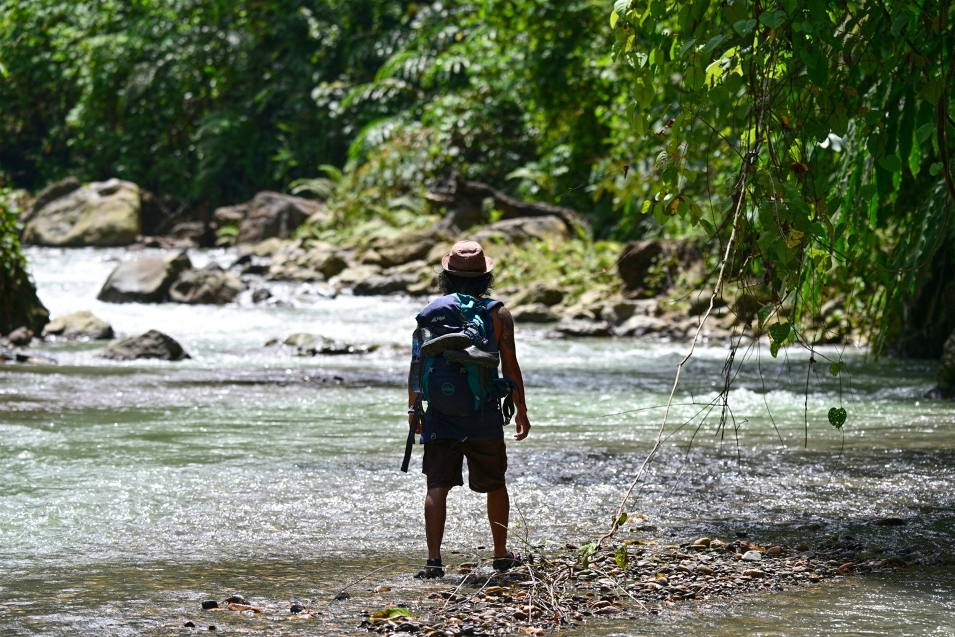 Bukit Lawang Trekking Price