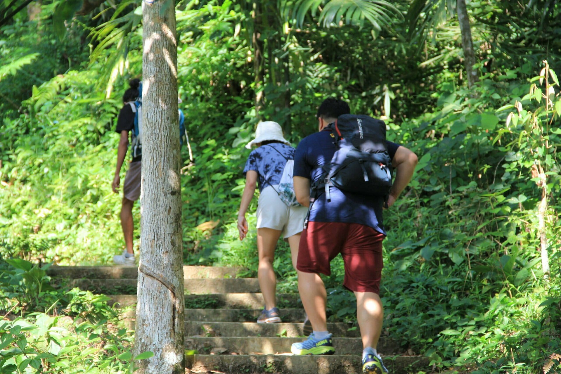 Half day jungle trek in bukit lawang