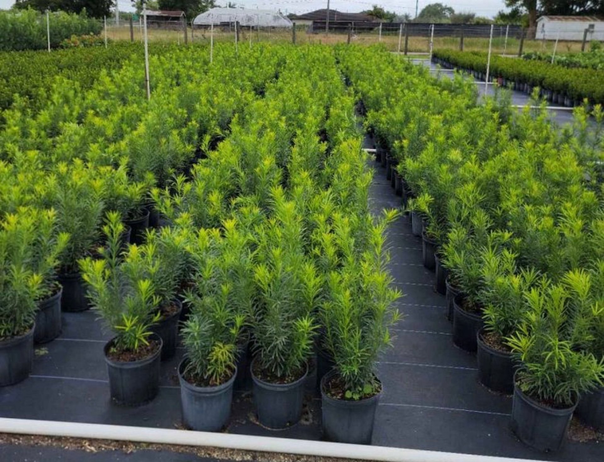 white and brown concrete building near green grass field during daytime
