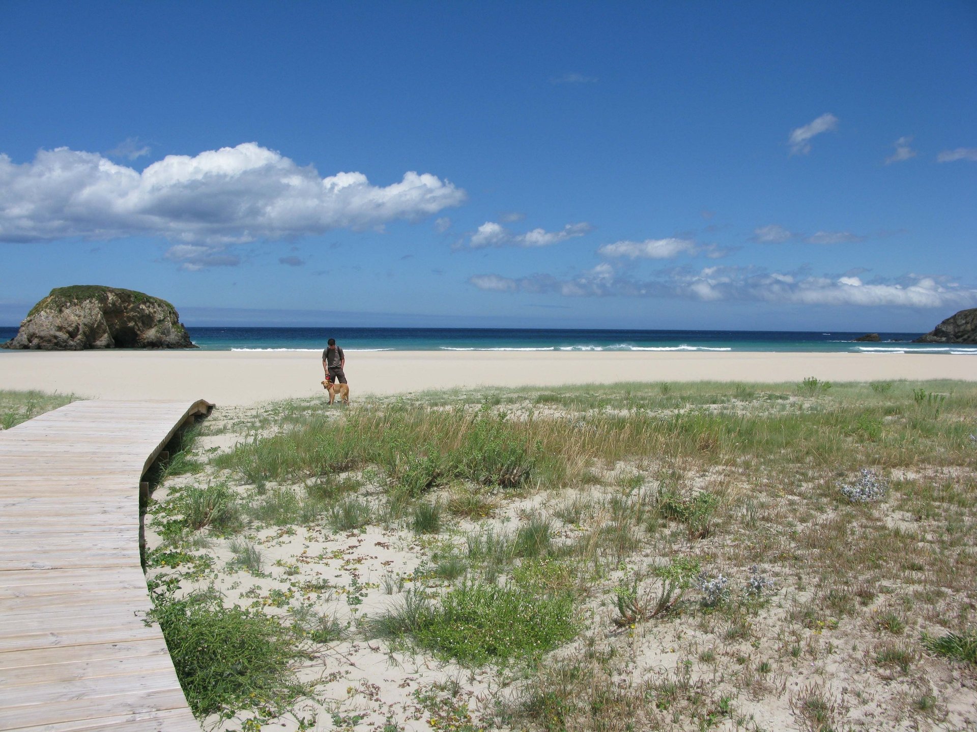 black blue and yellow textile