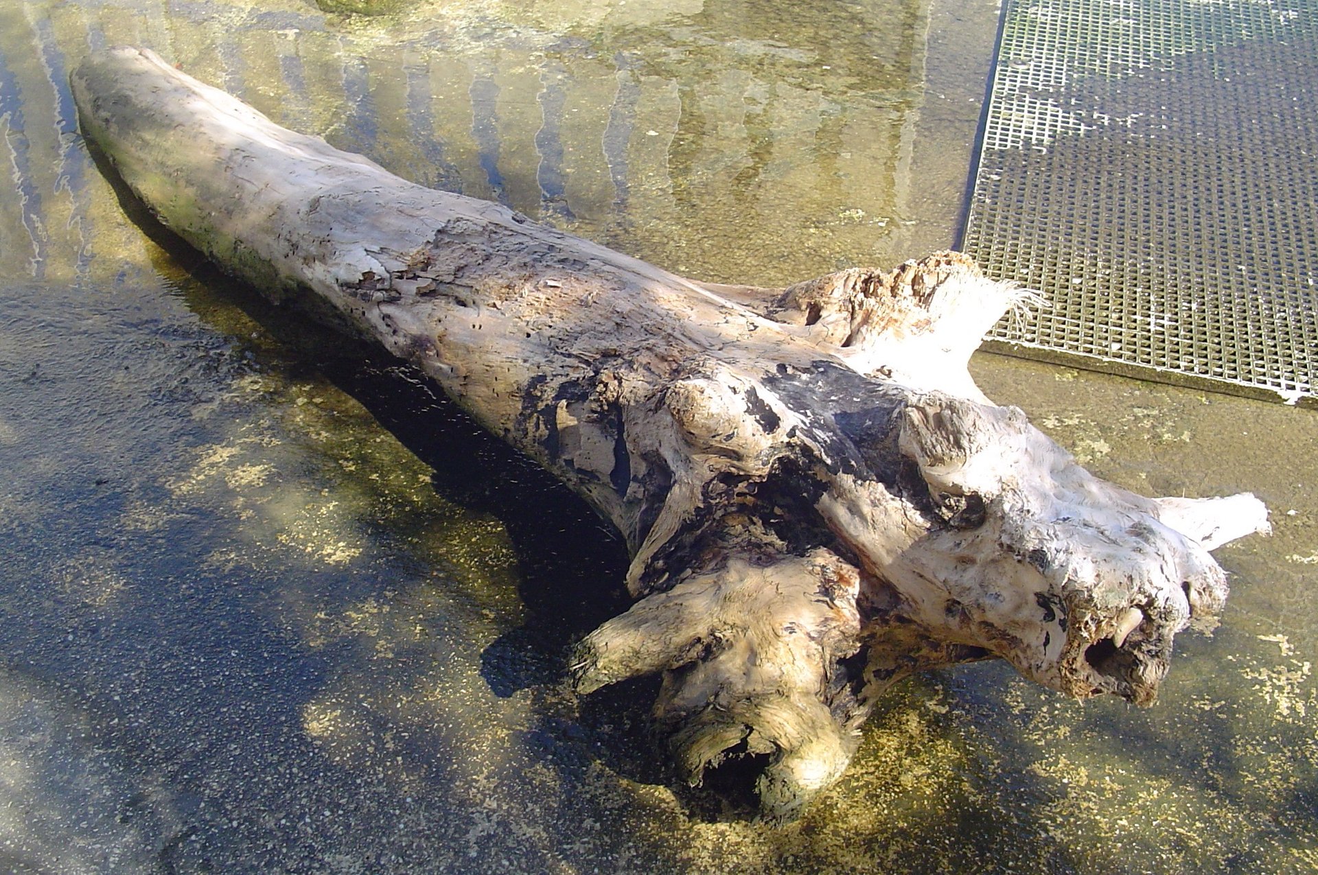 gray computer monitor