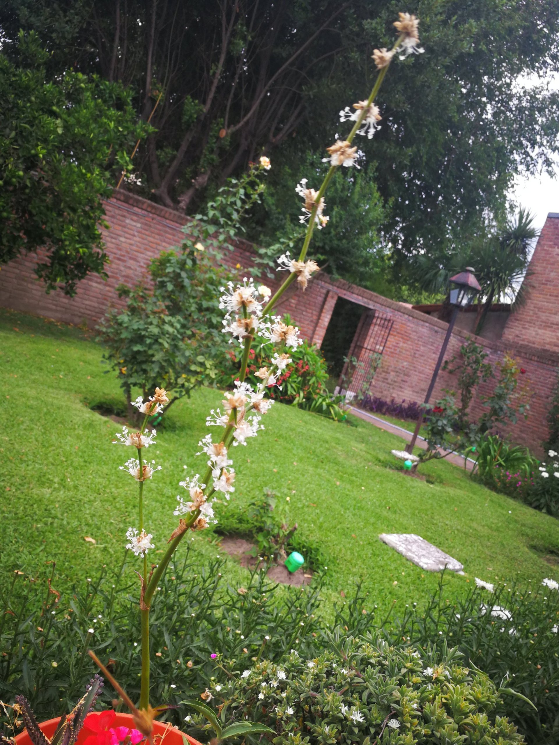 gray computer monitor