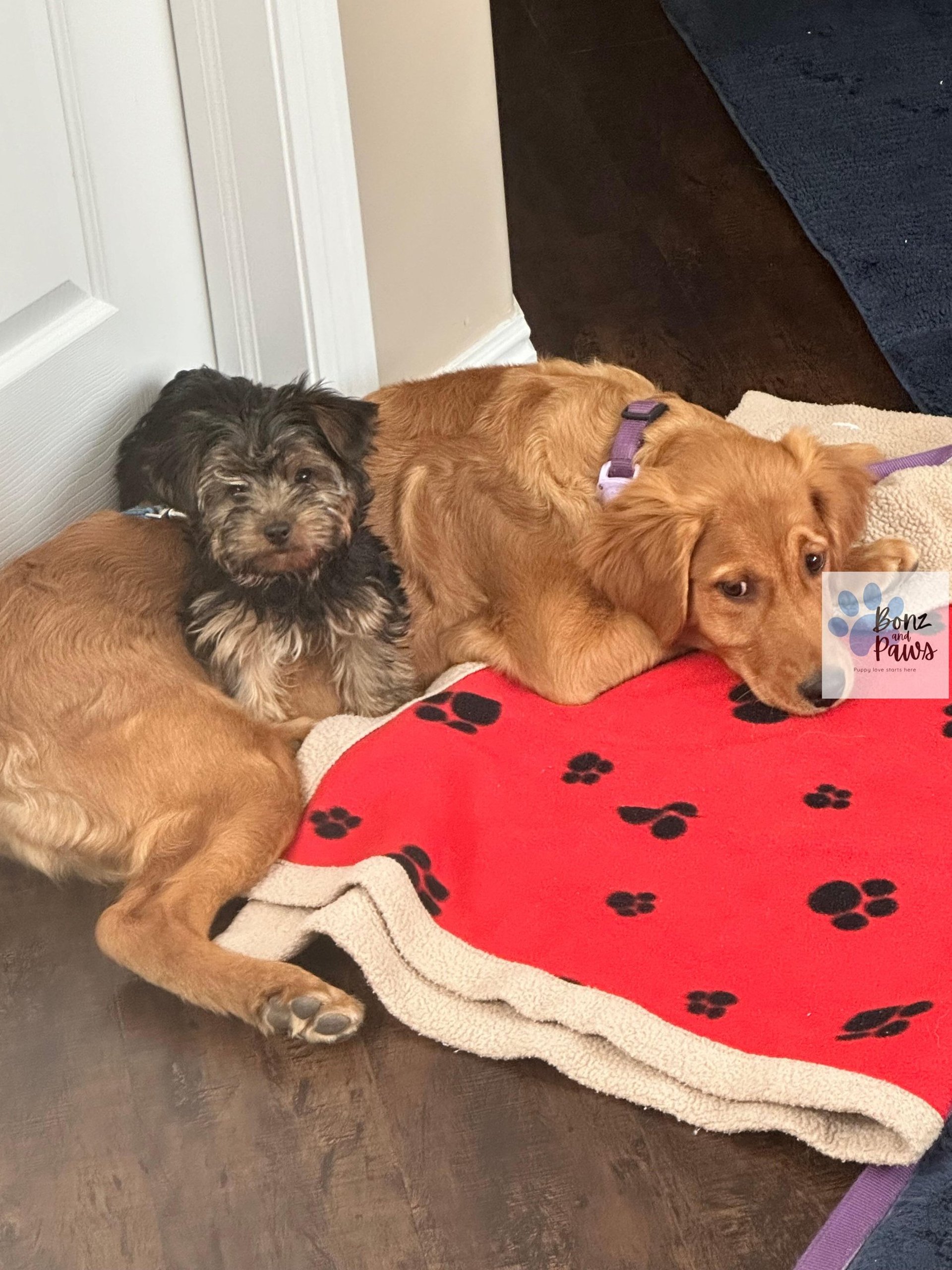 gray computer monitor