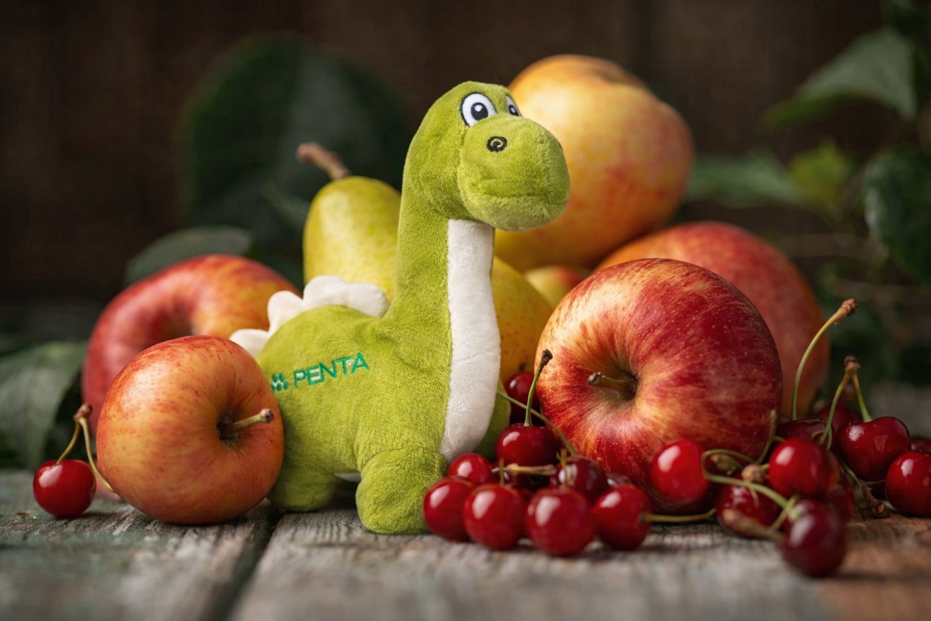 woman holding dried flower