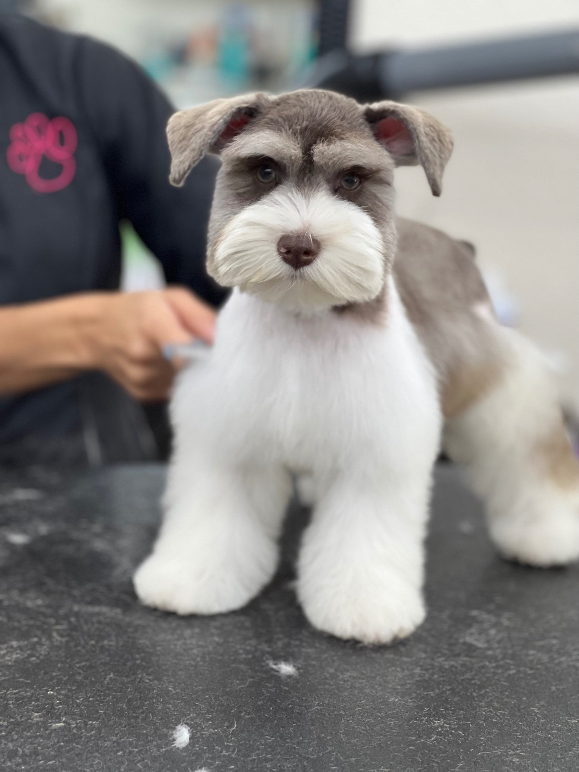 gray computer monitor