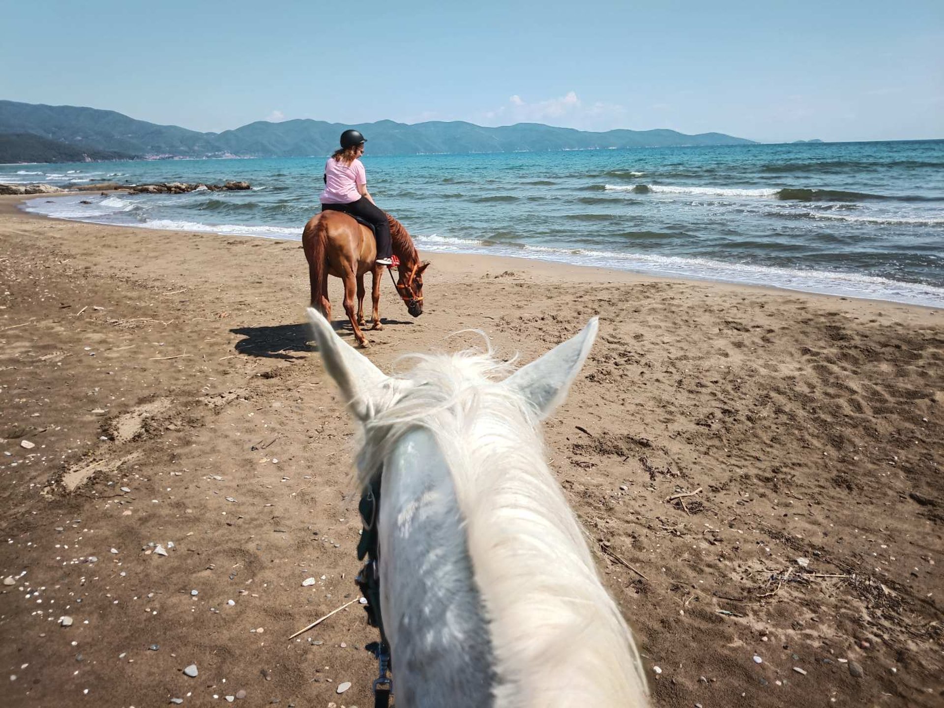 man and woman riding on horse near seashore