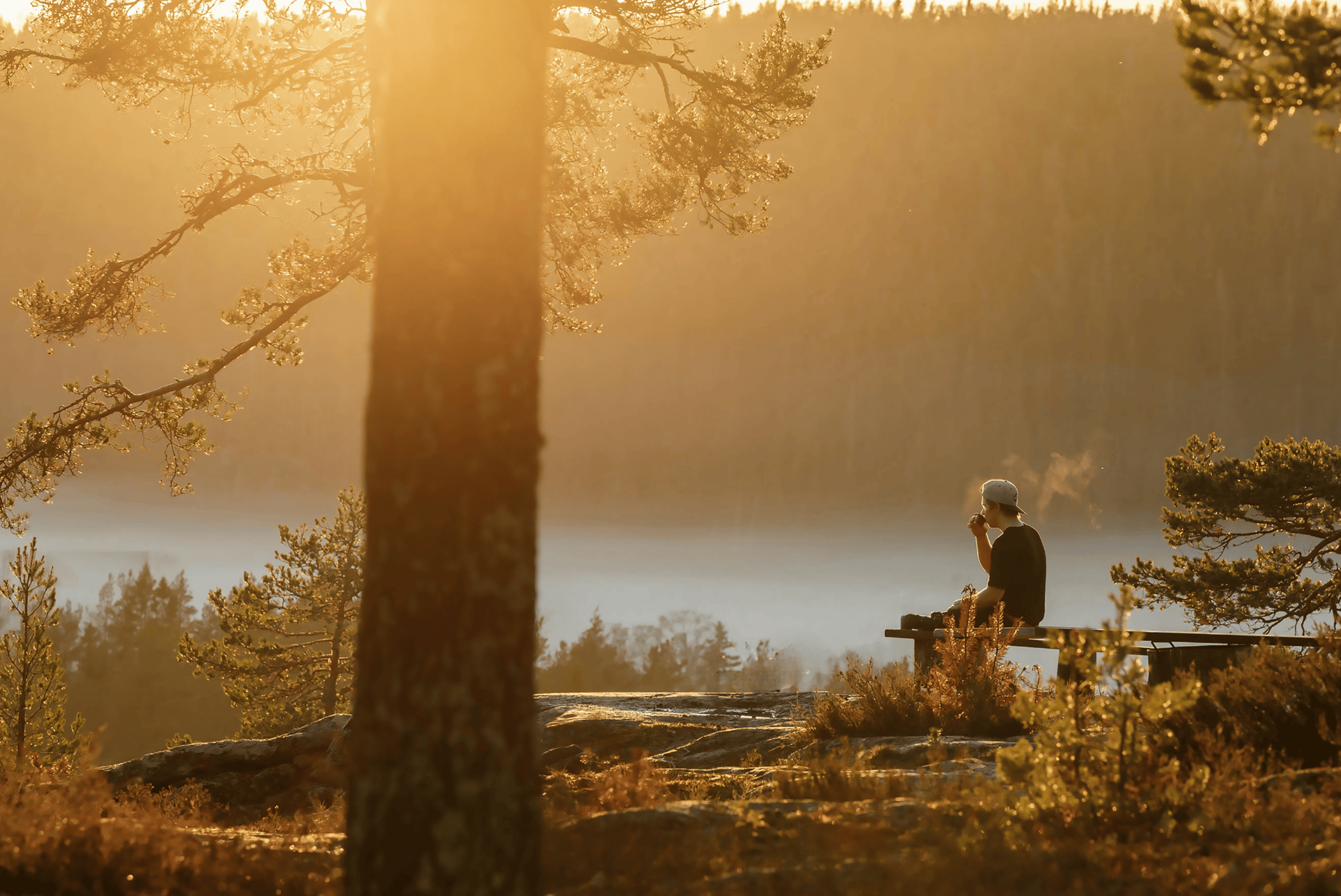 man sitting on bench near body of water during daytime
