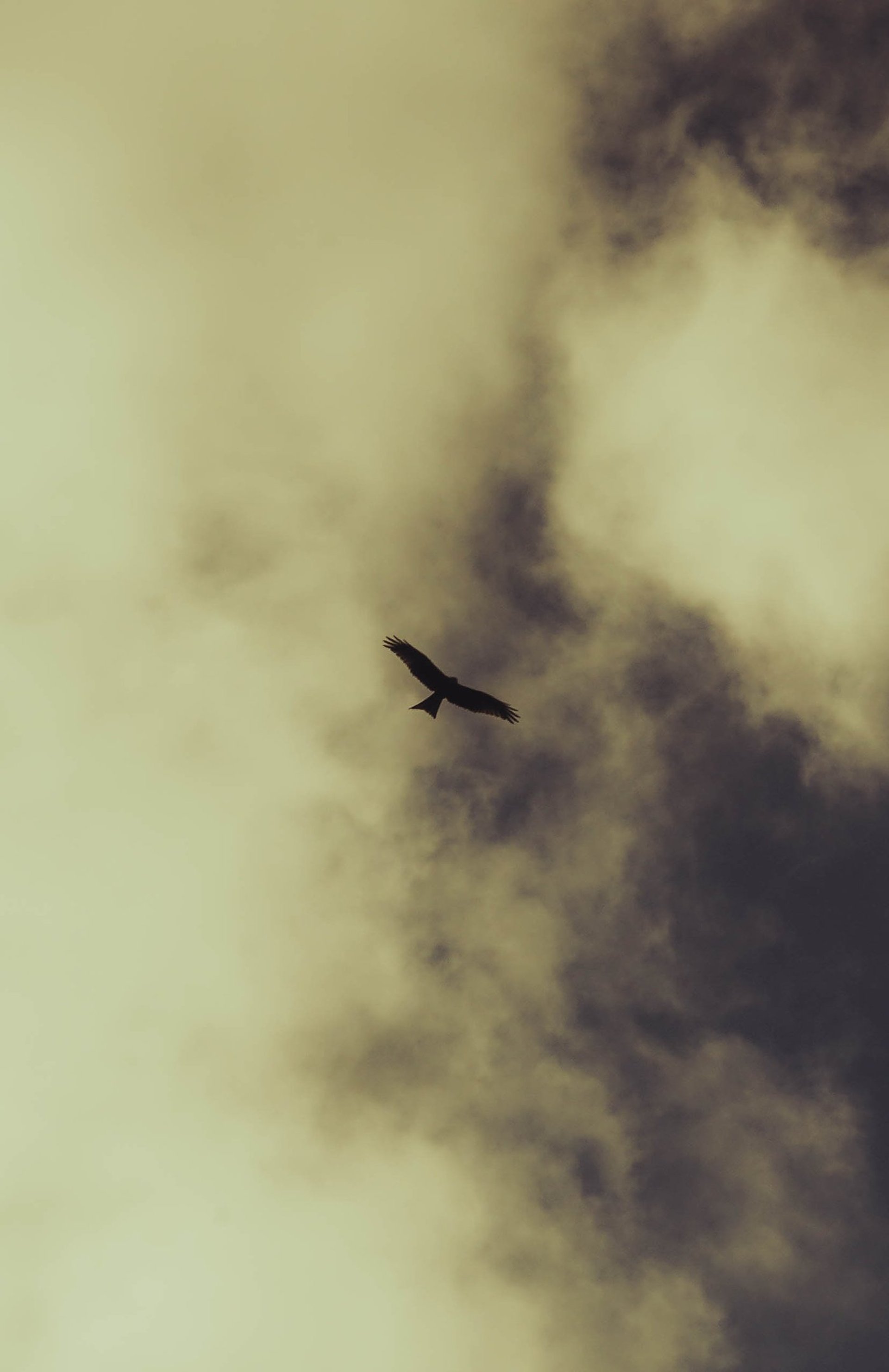 black and white concrete building