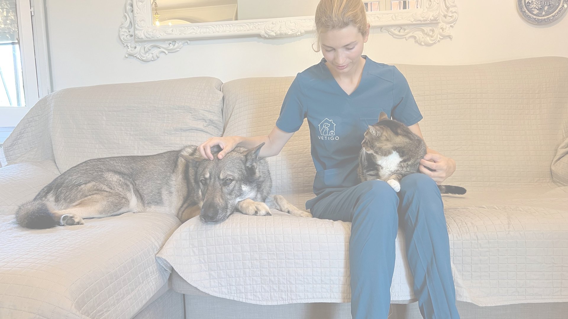 Veterinaria a domicilio atendiendo a un perro y un gato en el Valles Oriental y Maresme