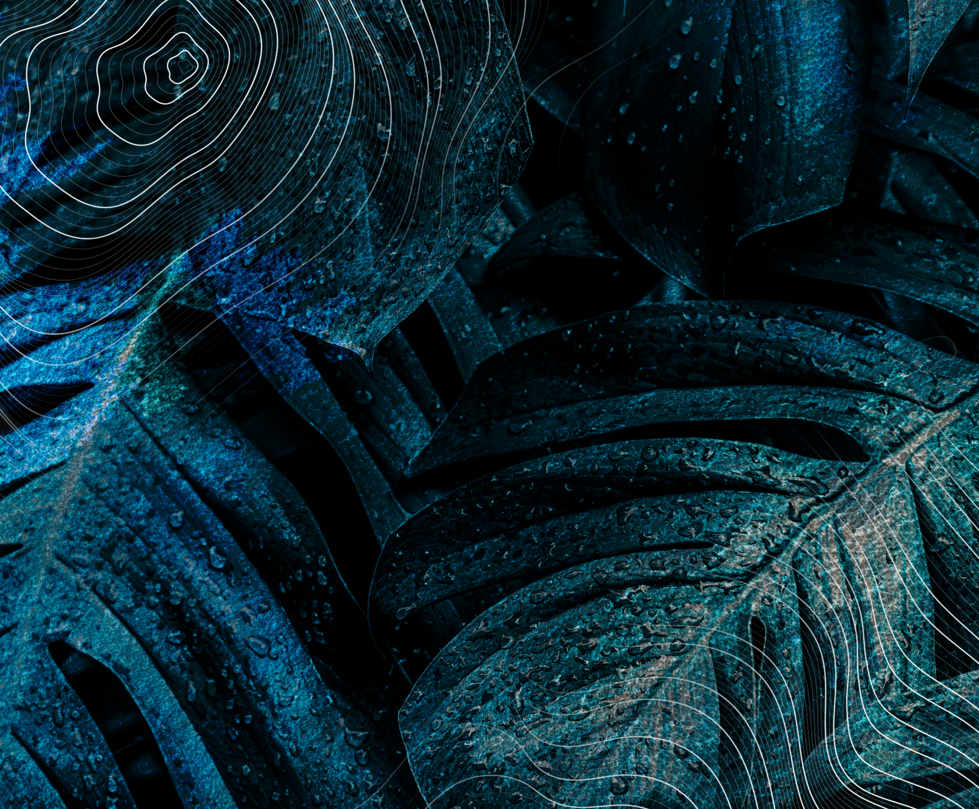 black nikon dslr camera on white printer paper