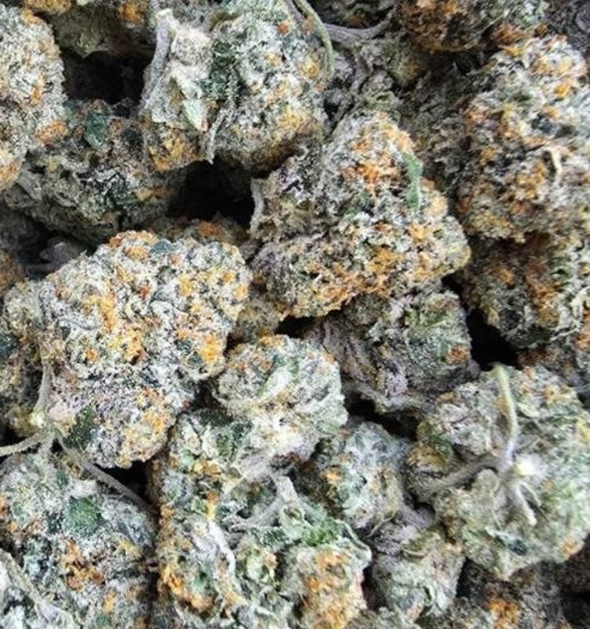 Strawberry Skunk cannabis flower with fruity aromatic notes, shown for legal access in Thailand.