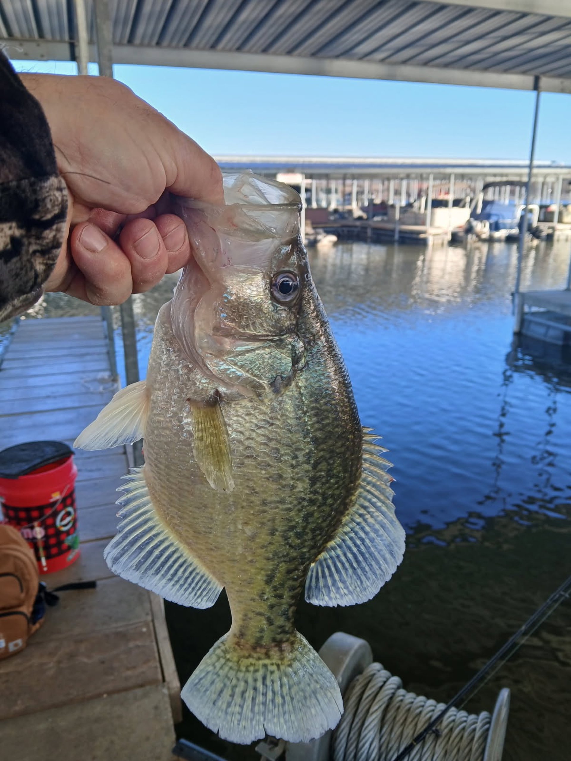 gray computer monitor