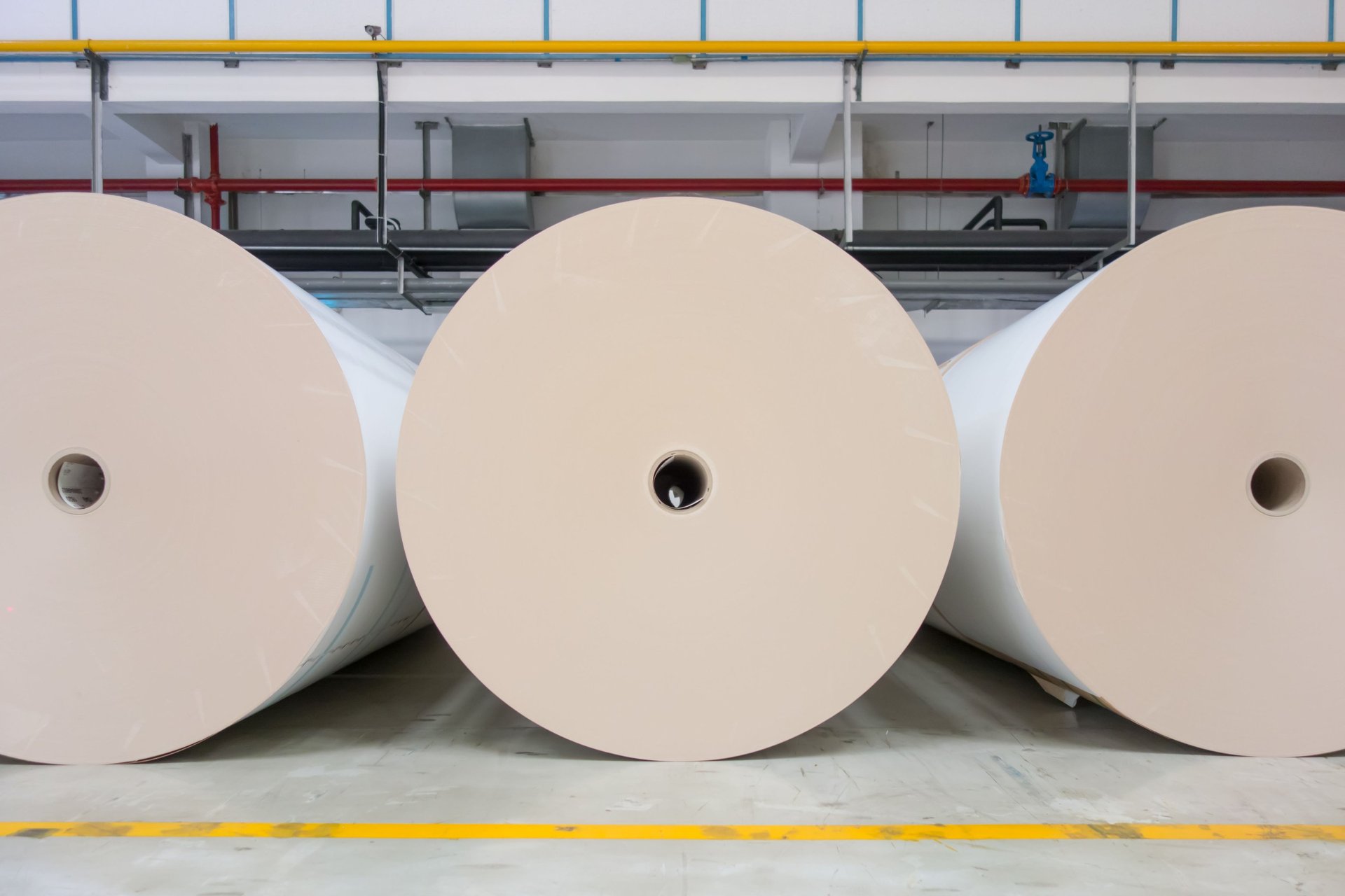 rolls of white paper