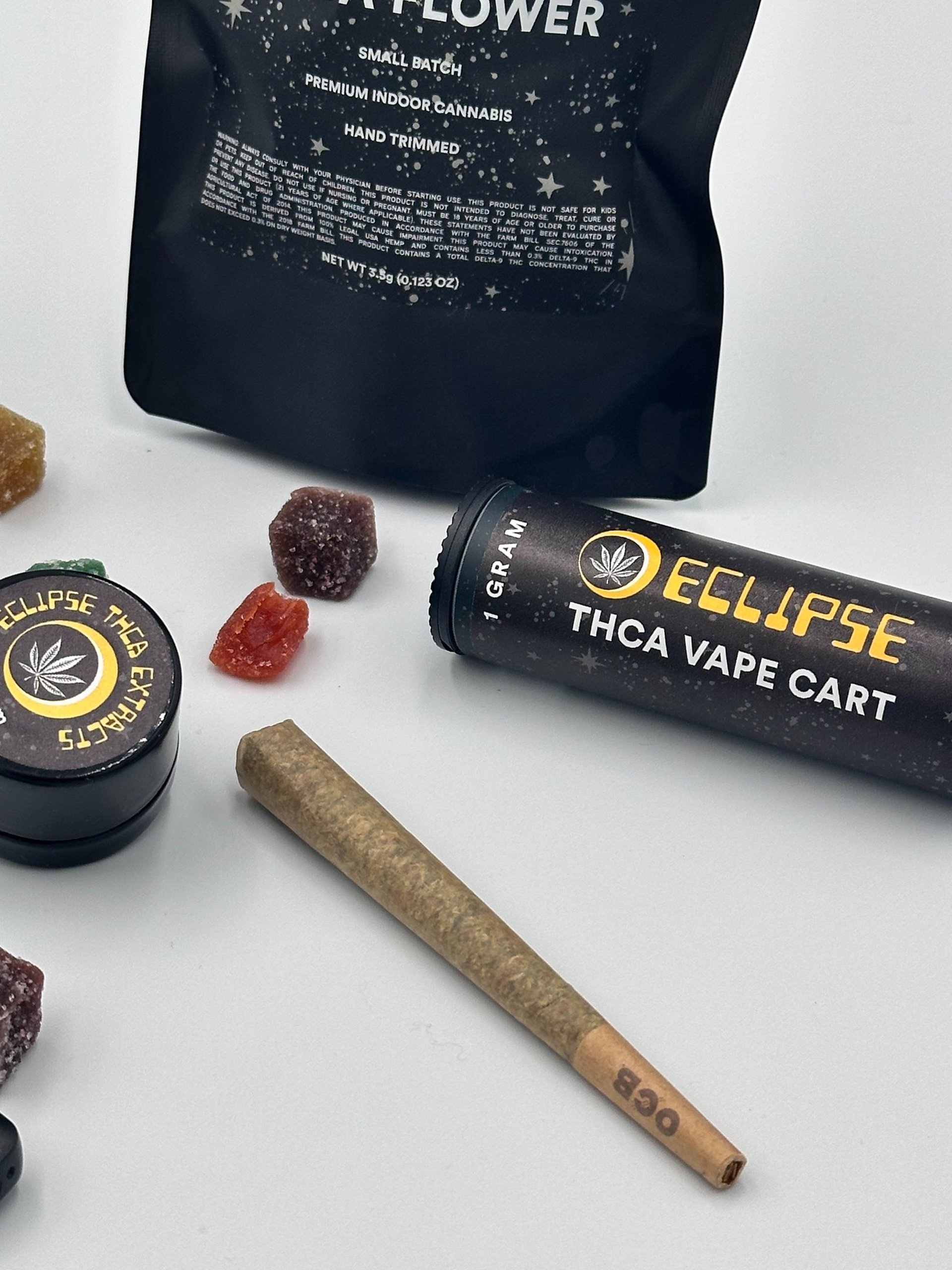 person holding black and white snake